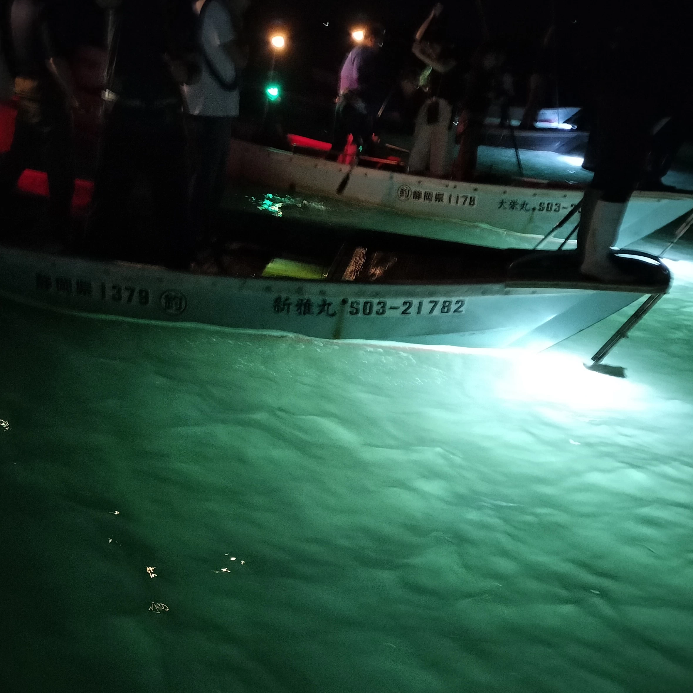 【浜名湖の夜に輝く】伝統のたきや漁を！ 地元の魅力を肌で感じる体験レポート