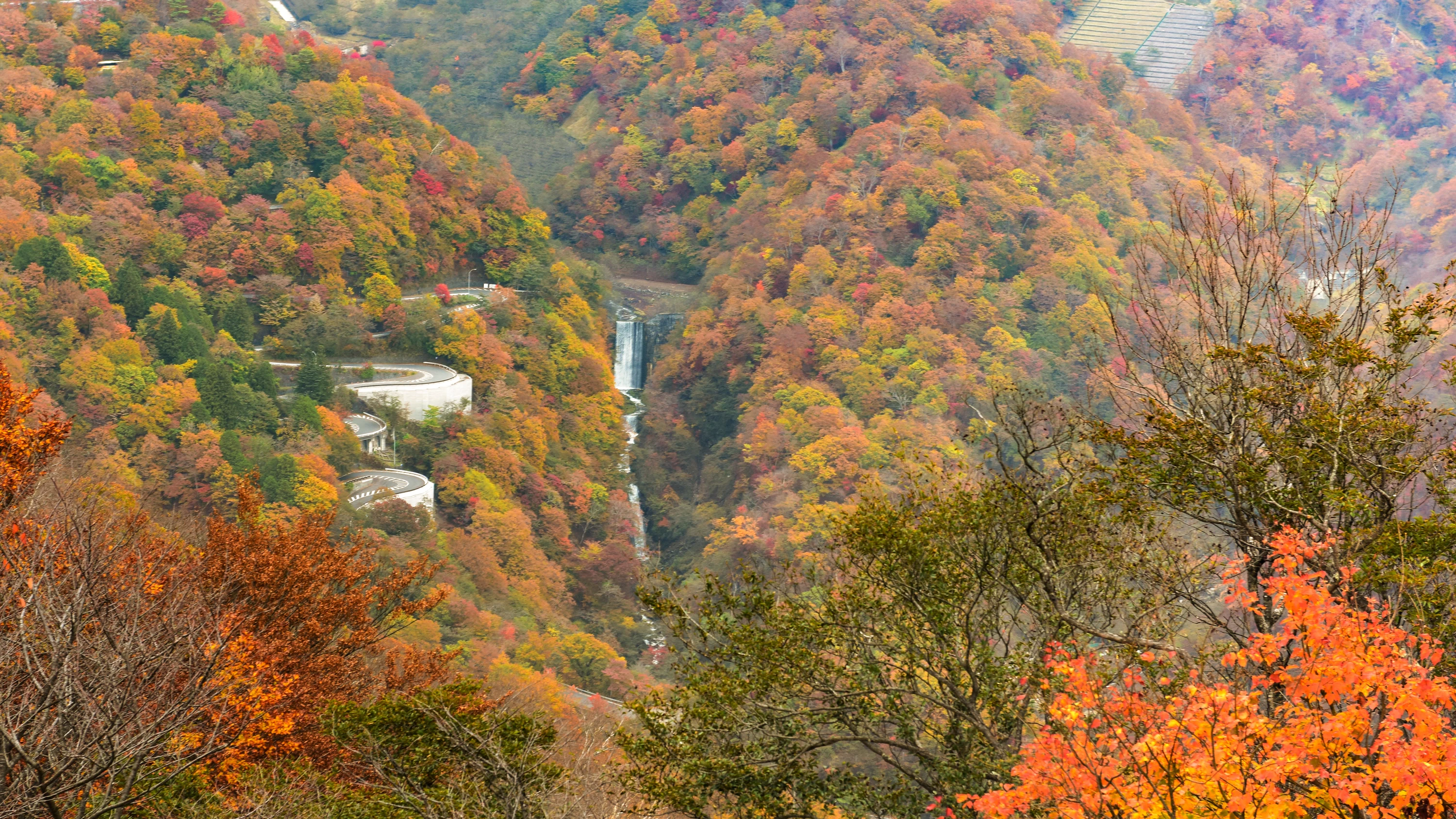 【日光・鬼怒川・会津】2025年紅葉見頃速報!渋滞を避ける「夜行列車」と絶景「SL大樹」旅