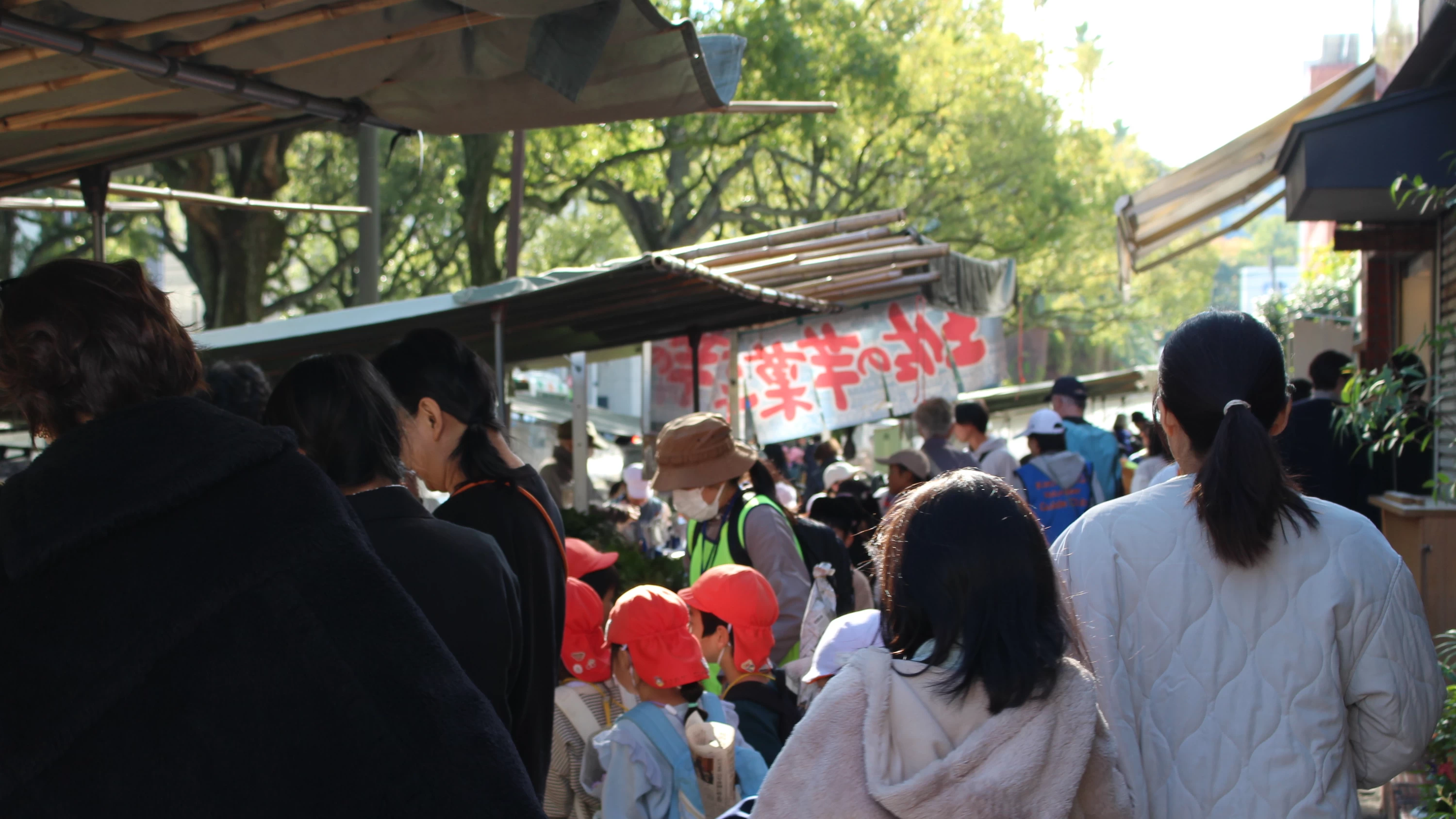 【高知観光体験レポ】木曜市の歴史探訪。300年続く街路市でハチキンの心意気に触れる