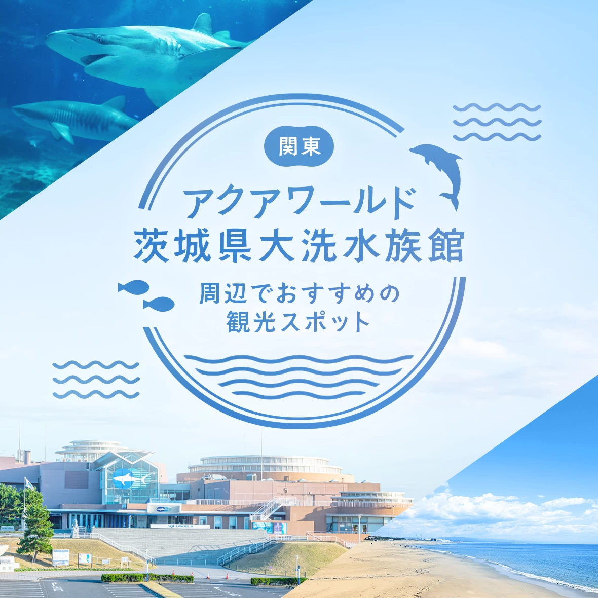 アクアワールド茨城県大洗水族館周辺でおすすめの観光スポット8選