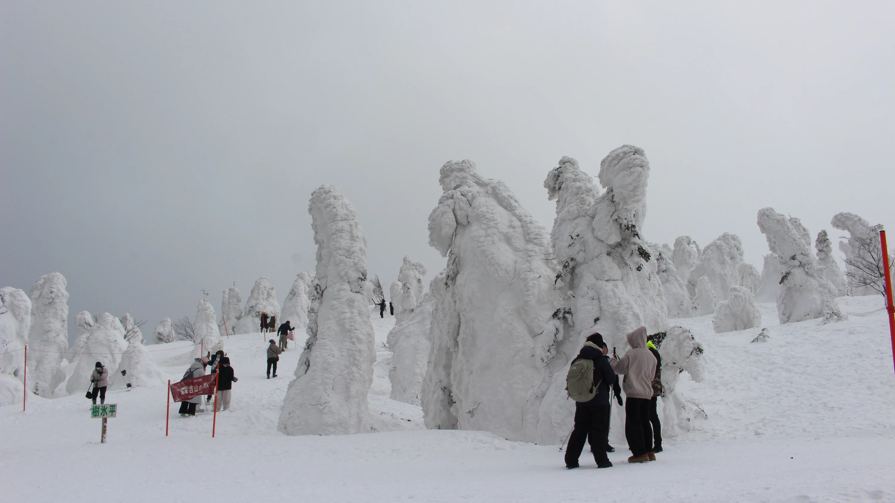 秋田・森吉山の樹氷ガイド！見頃やアクセス、スノーモンスターの魅力を紹介