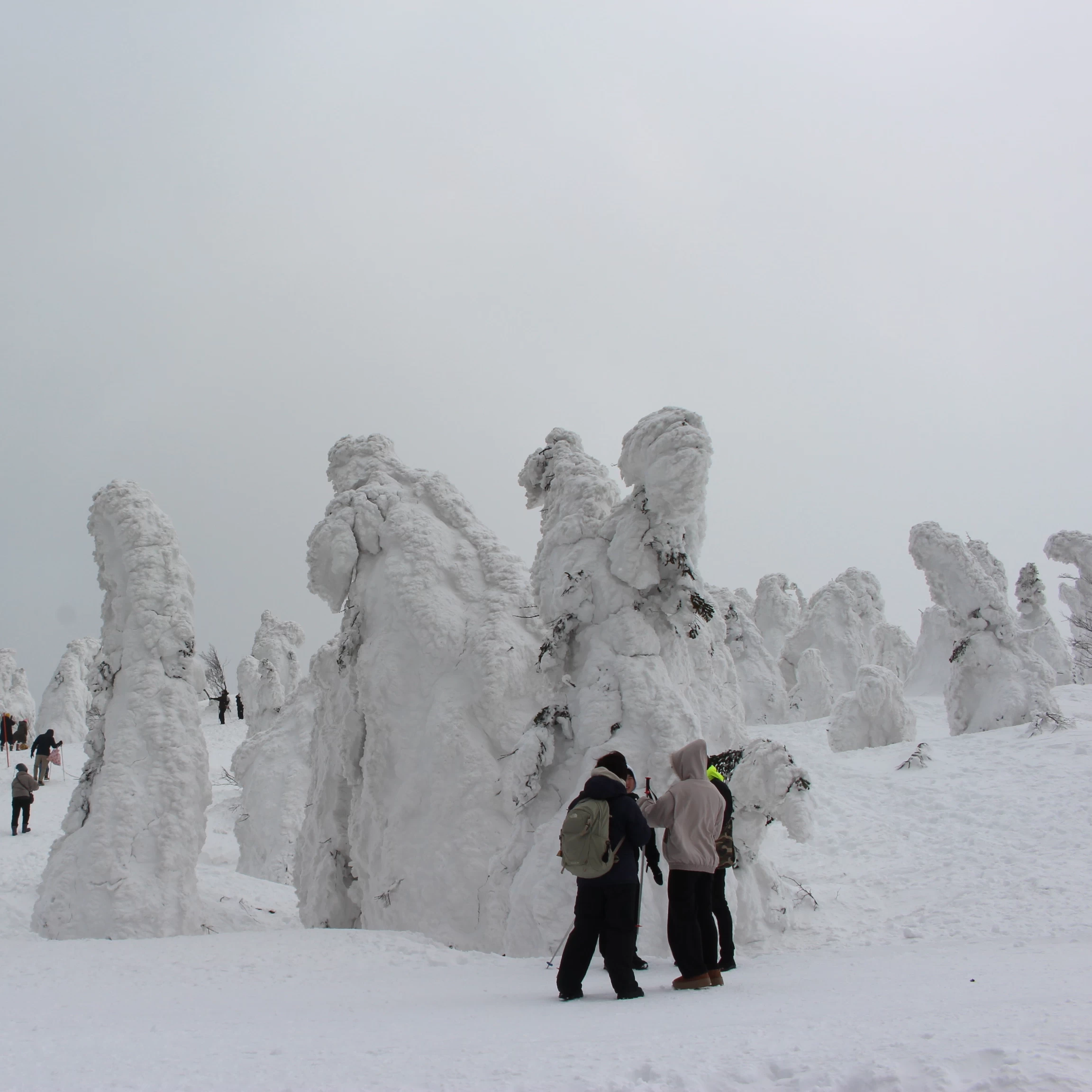 秋田・森吉山の樹氷ガイド！見頃やアクセス、スノーモンスターの魅力を紹介