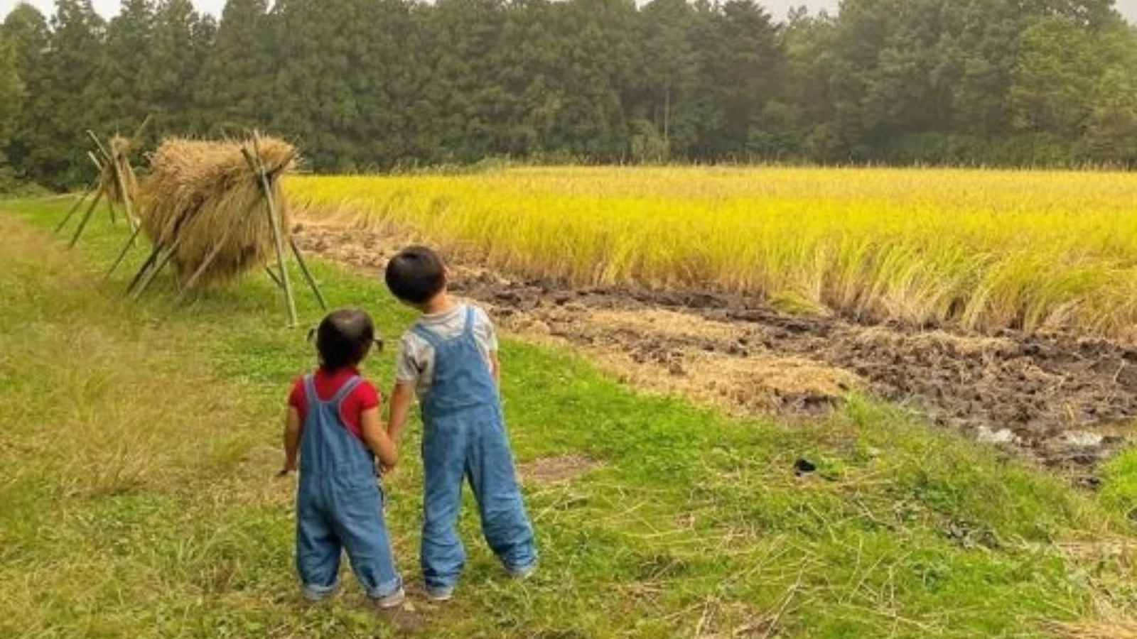 親子で楽しむ新しい“農”体験！ 「星野リゾート　リゾナーレ那須」