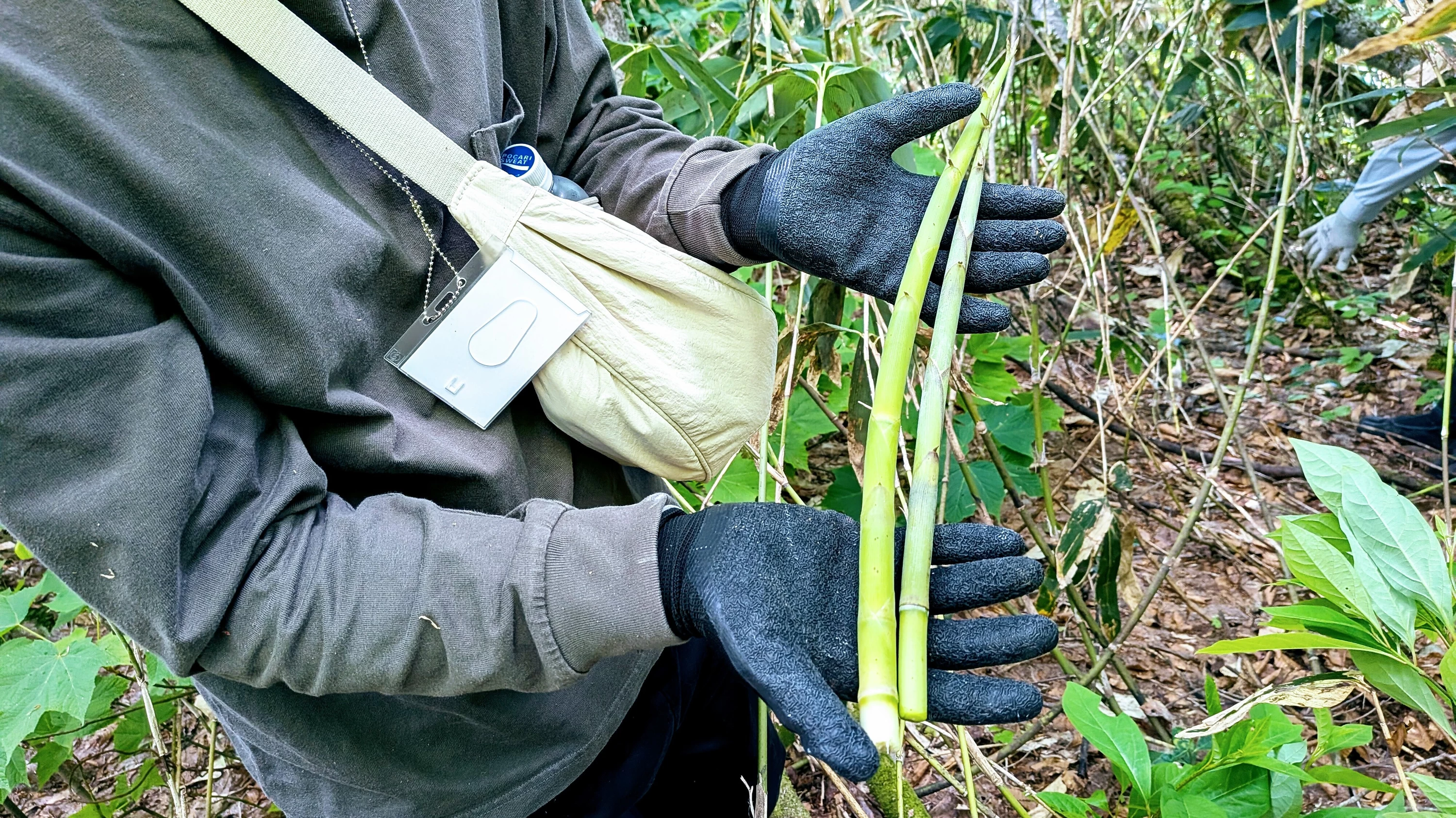 ルーツを知り、山に入り、味わい尽くす。野沢温泉村の「食と文化」を丸ごと”あるを尽くす”体験