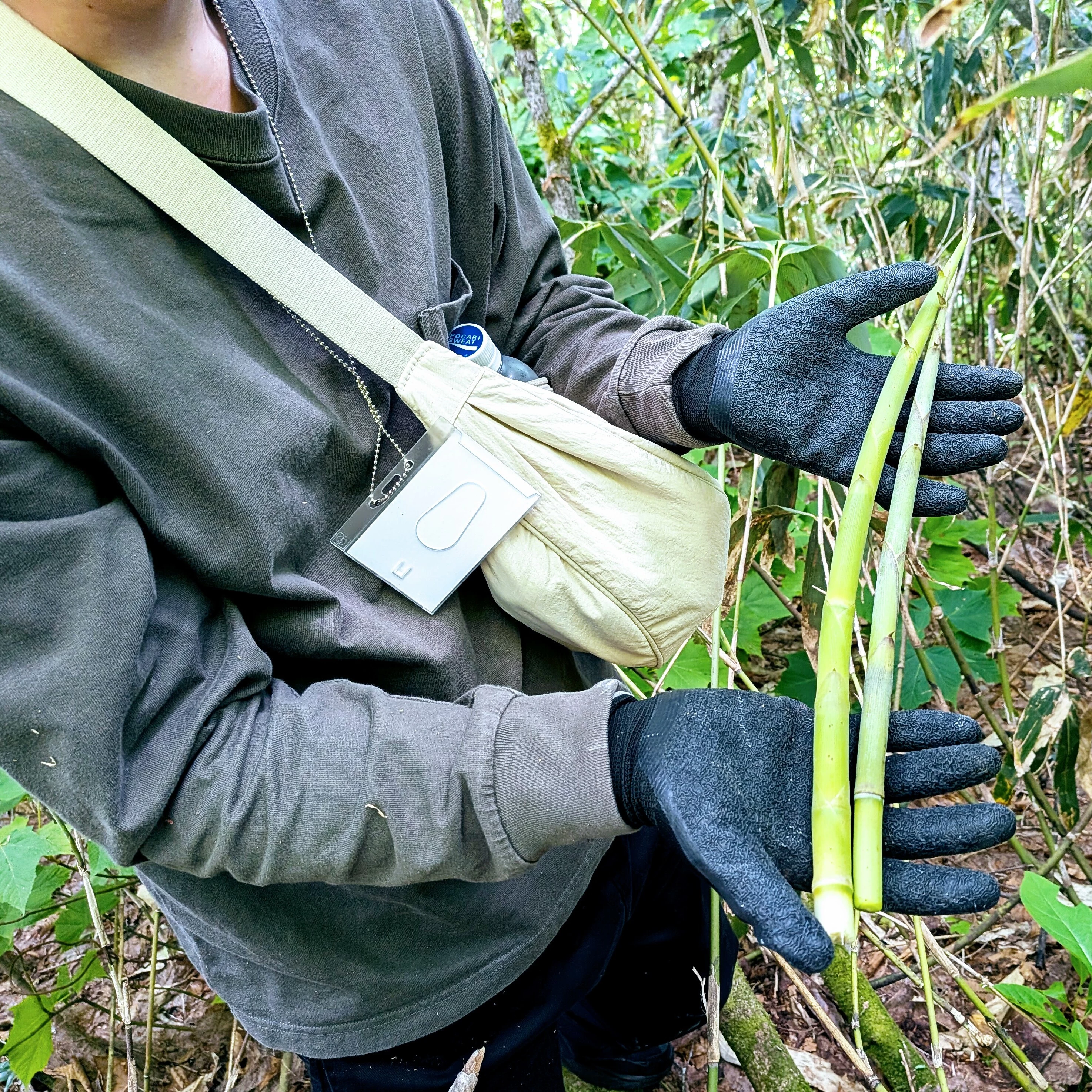 ルーツを知り、山に入り、味わい尽くす。野沢温泉村の「食と文化」を丸ごと”あるを尽くす”体験