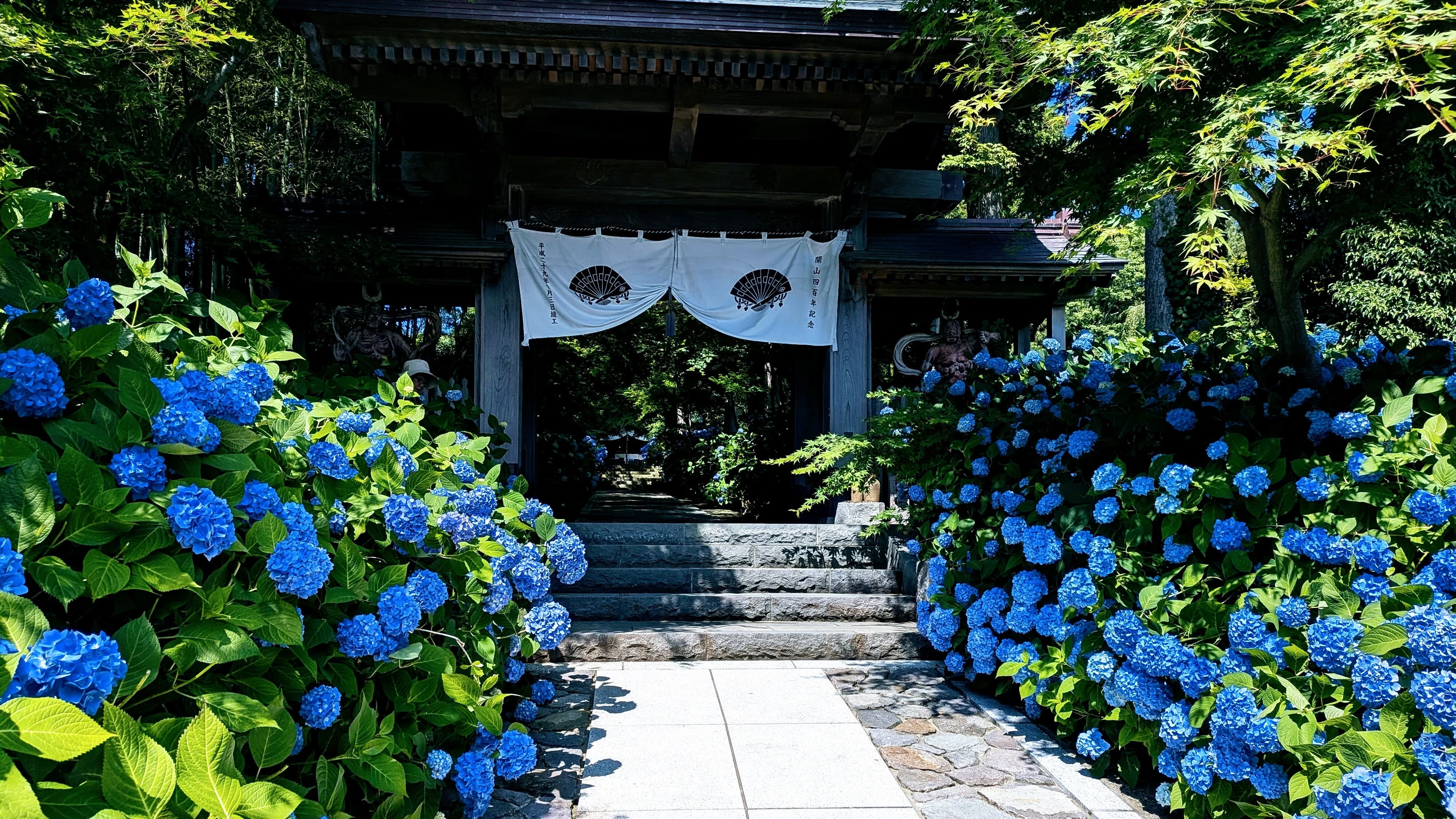 秋田のウユニ塩湖・武家屋敷・北浦山 雲昌寺（あじさい）・寒風山｜秋田絶景旅レポート