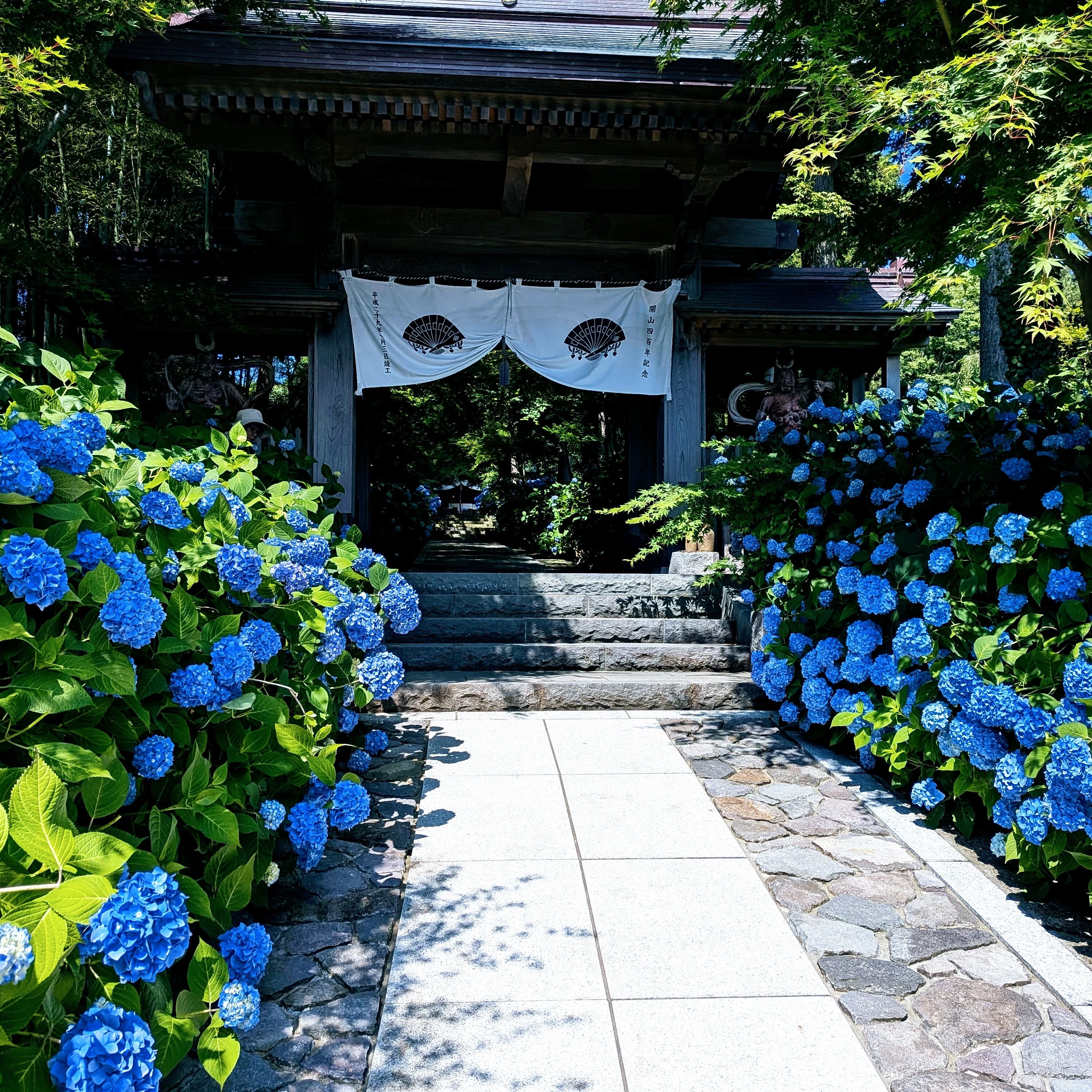 秋田のウユニ塩湖・武家屋敷・北浦山 雲昌寺（あじさい）・寒風山｜秋田絶景旅レポート