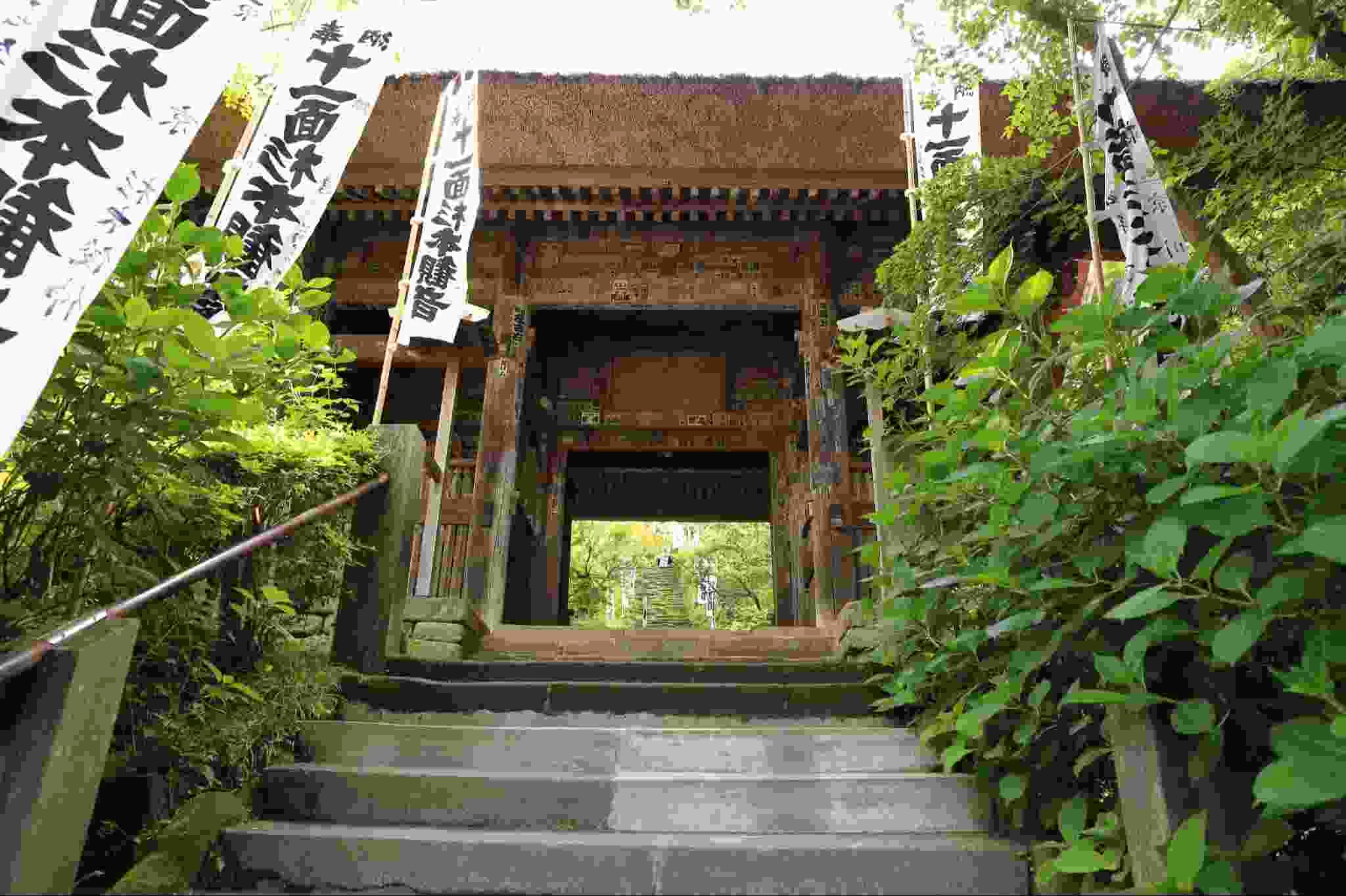 神奈川・鎌倉】ひとり旅で訪れたいおすすめ観光スポット17選