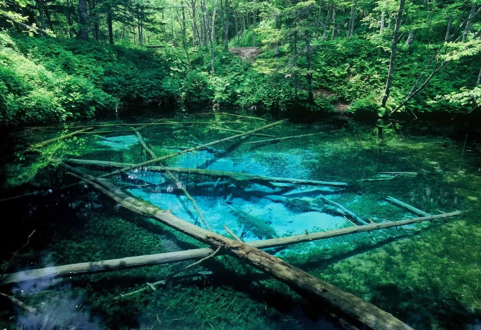 北海道】網走・オホーツク近郊の絶景観光スポット11選！