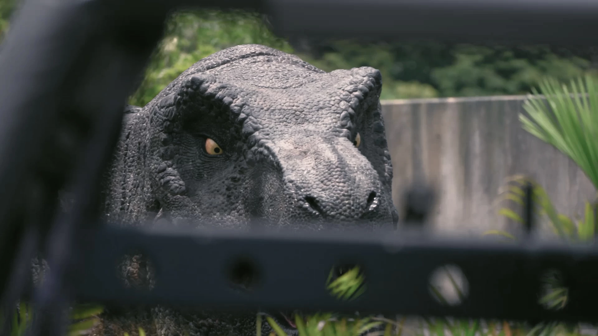 DINOSAUR SAFARI（ダイナソー サファリ）