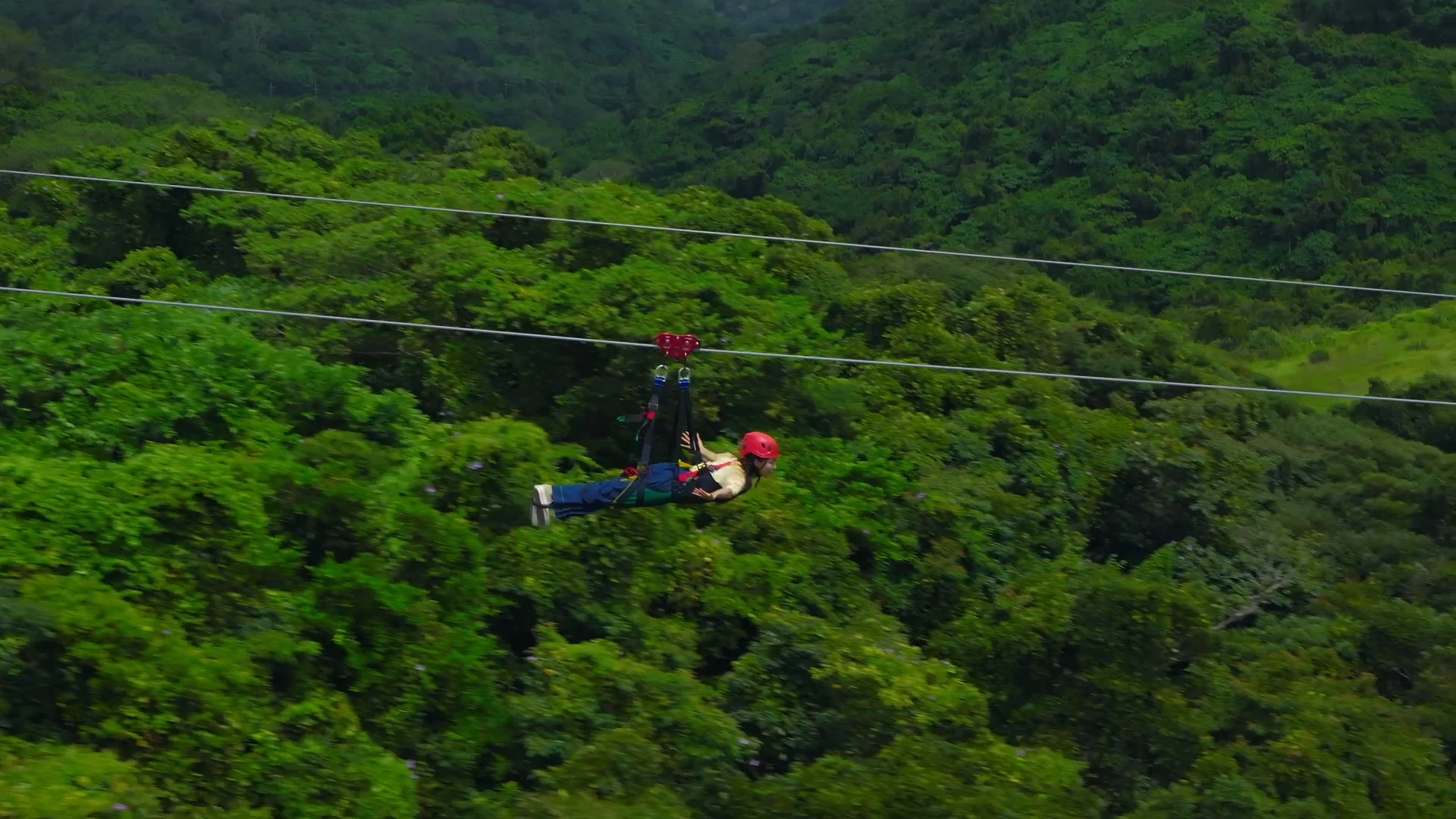 SKY PHOENIX（スカイ フェニックス）
