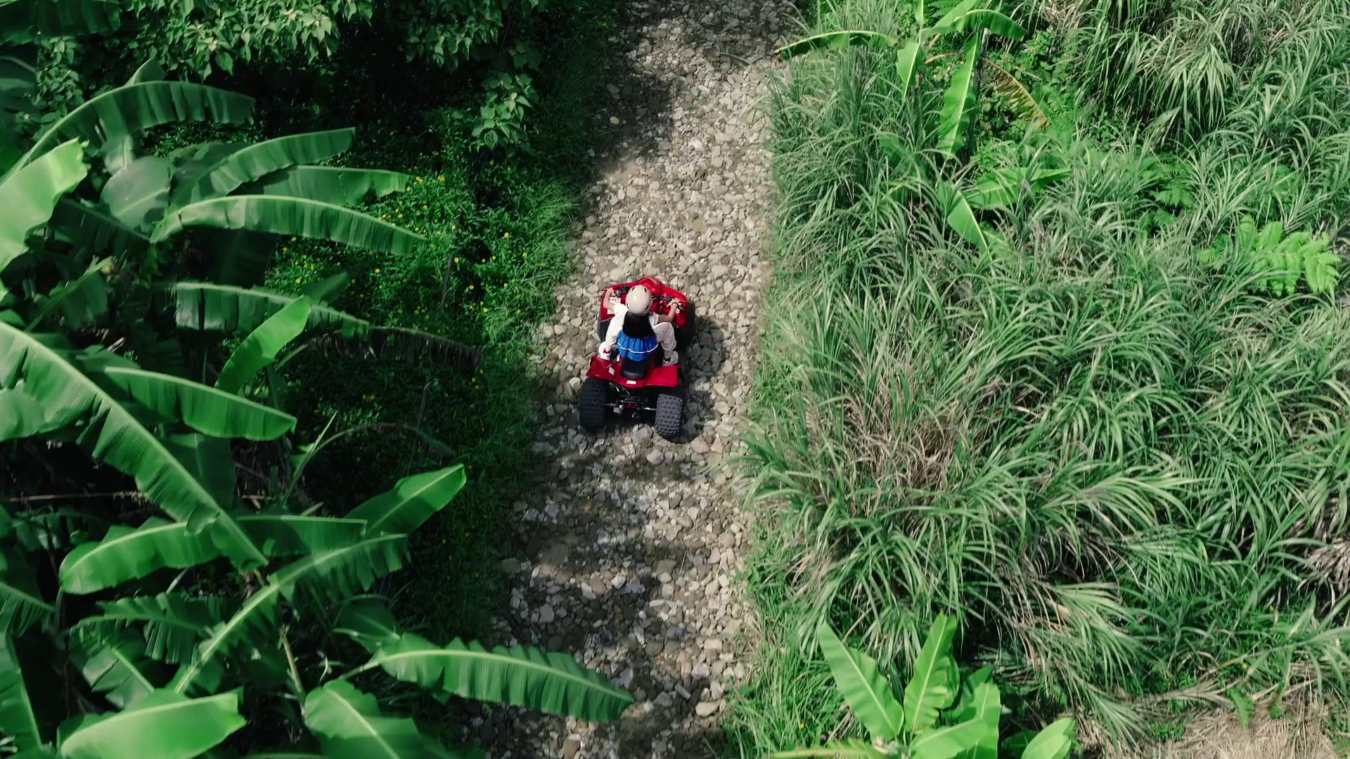 BUGGY VOLTAGE ～FUN ADVENTURE～