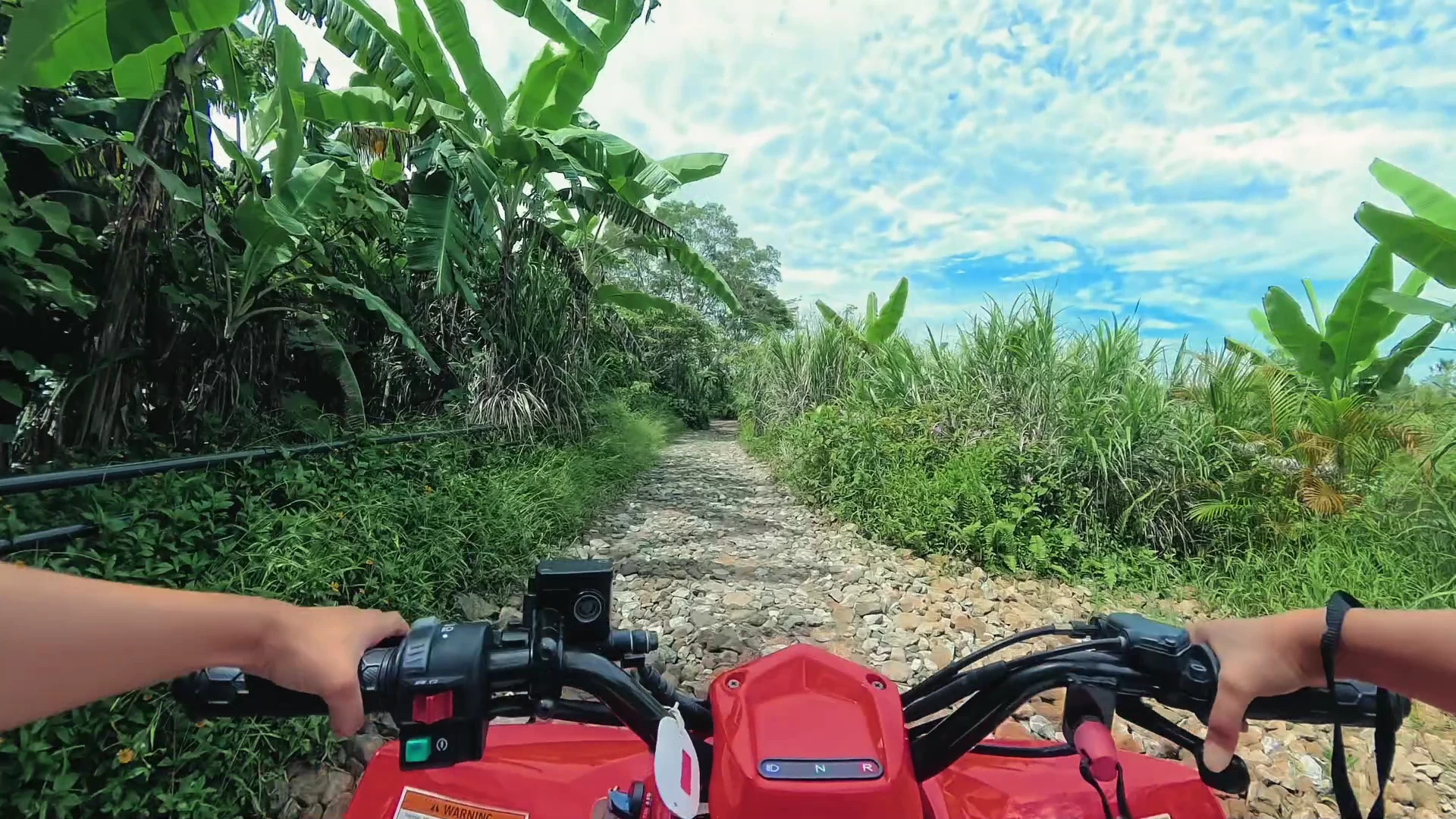 BUGGY VOLTAGE ～FUN ADVENTURE～