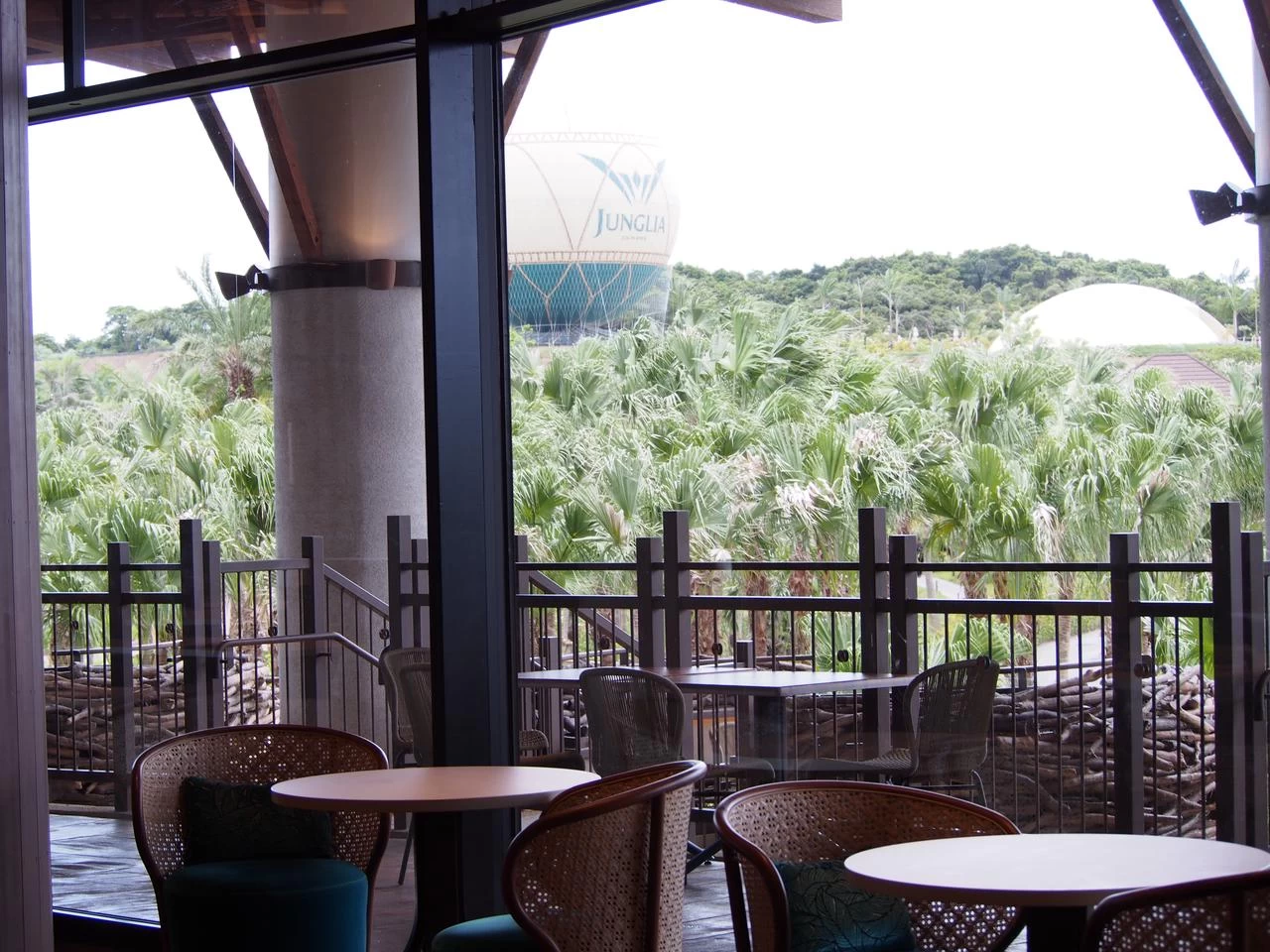 店内からの景色