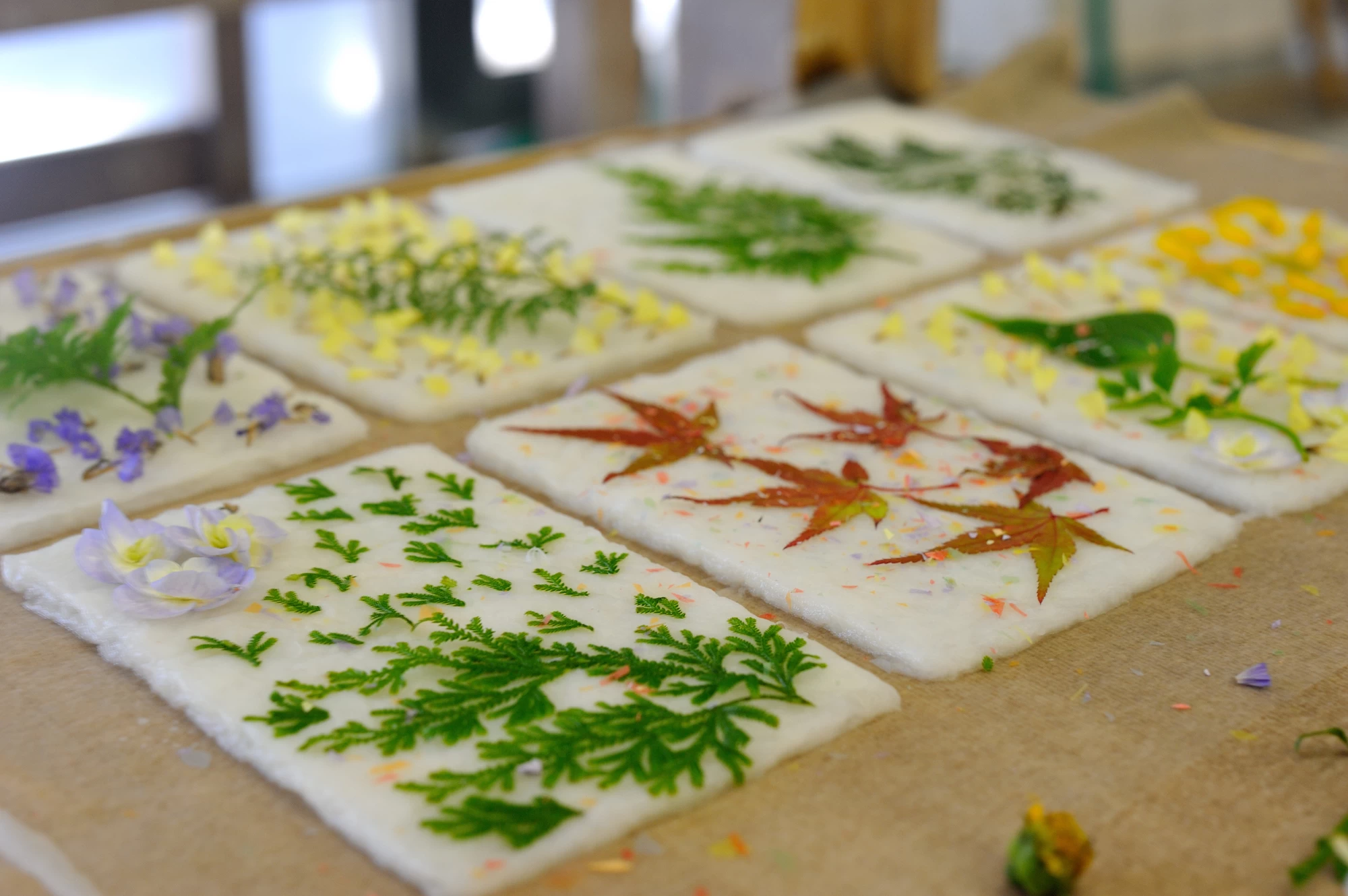 土佐和紙製品　イメージ