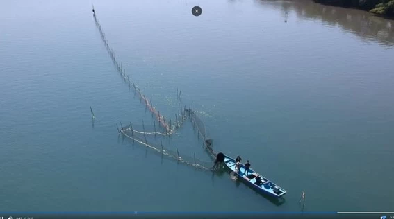 角立網漁】浜松・浜名湖の新しい旅の定番！？子どもから大人まで大興奮