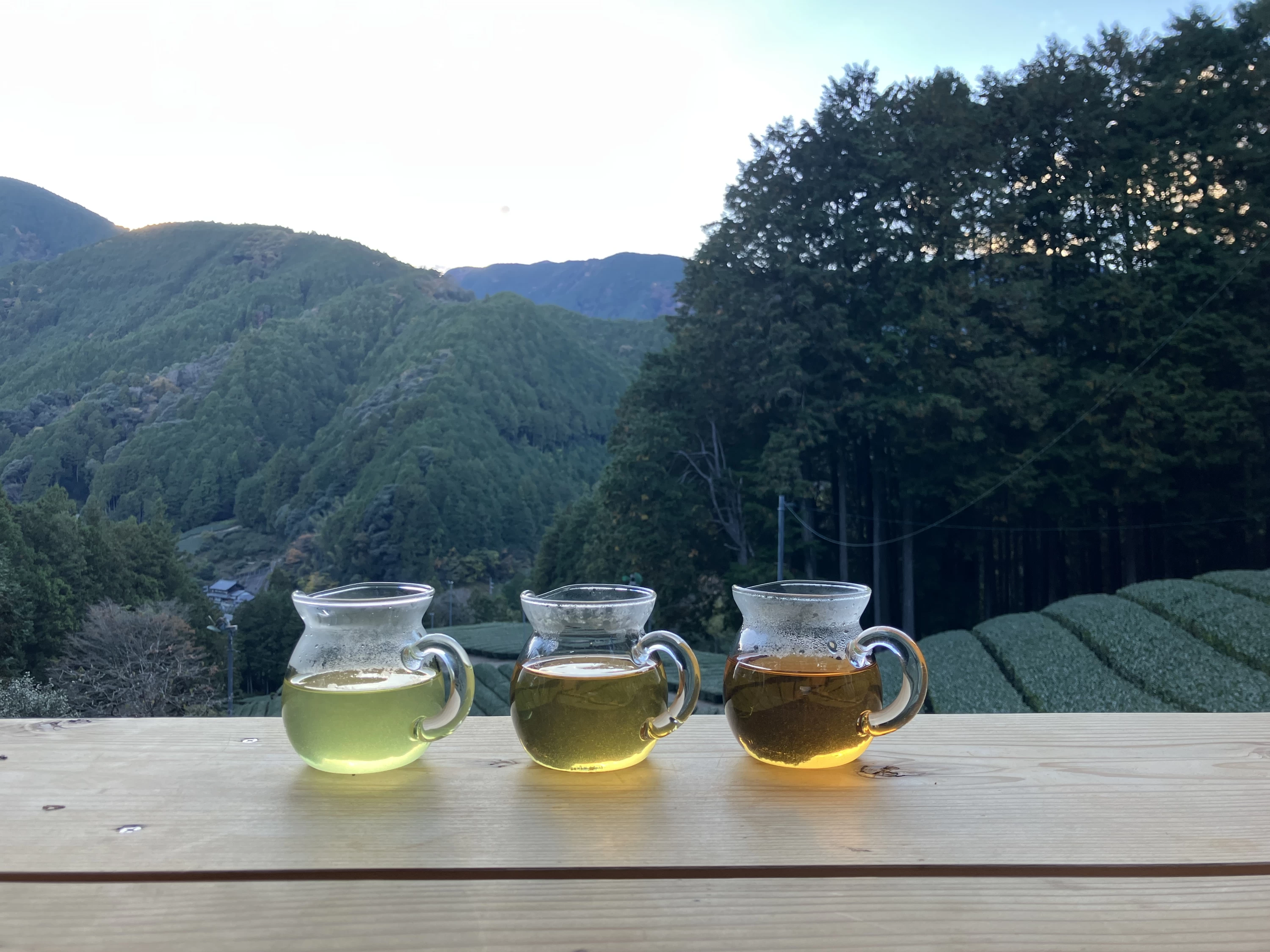 志田島園　お茶テラス