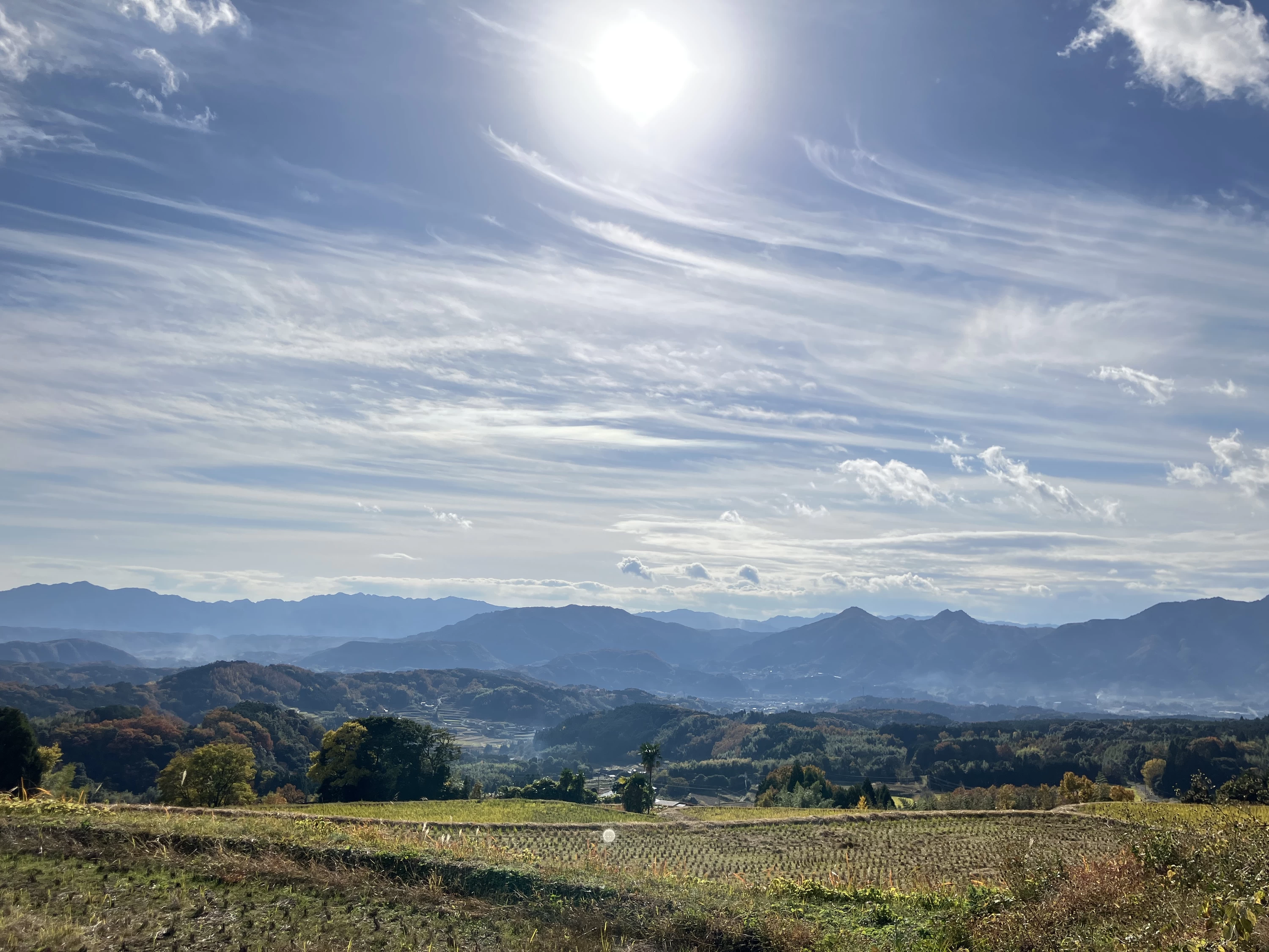 大津留地区の絶景