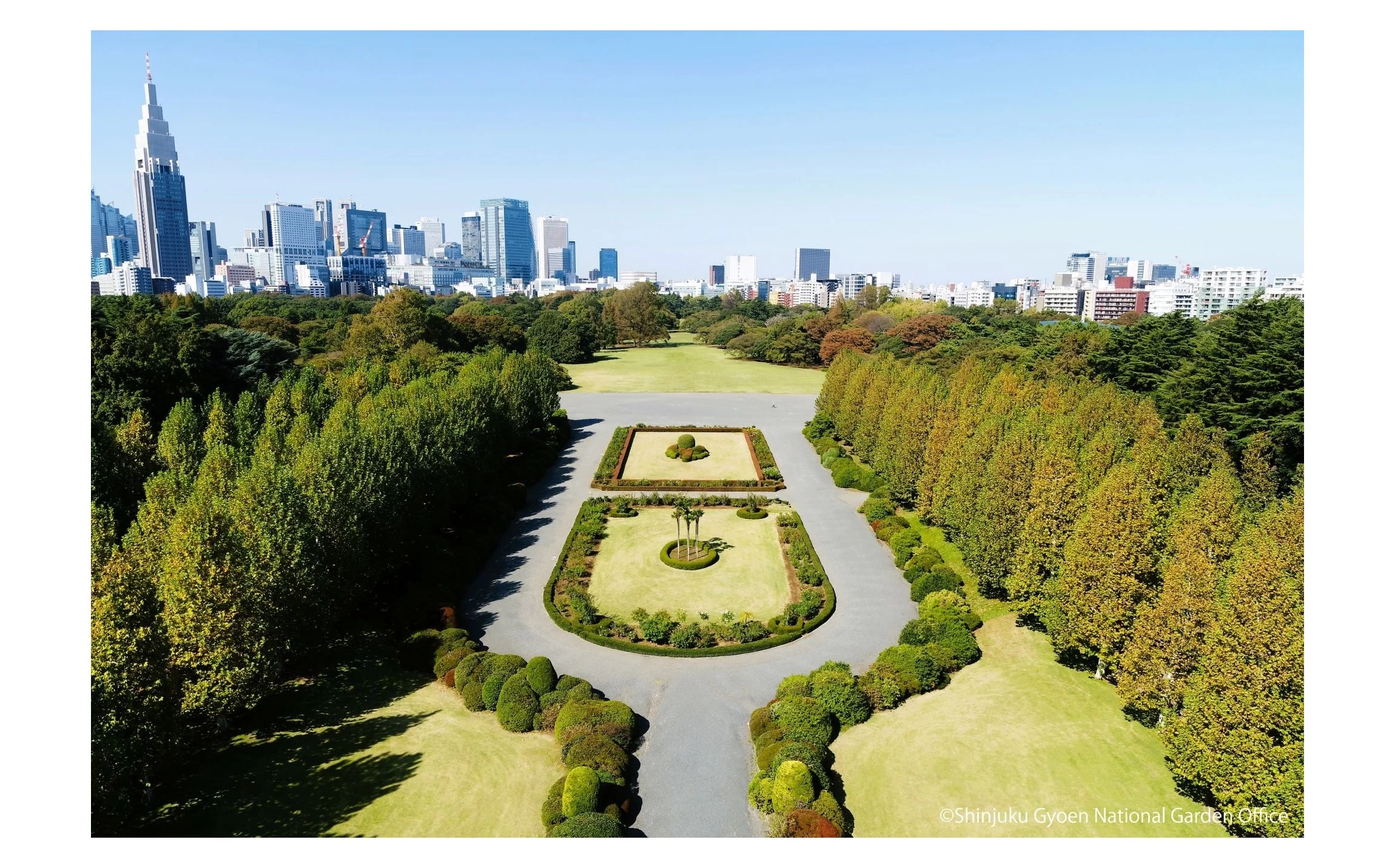 新宿御苑 空撮