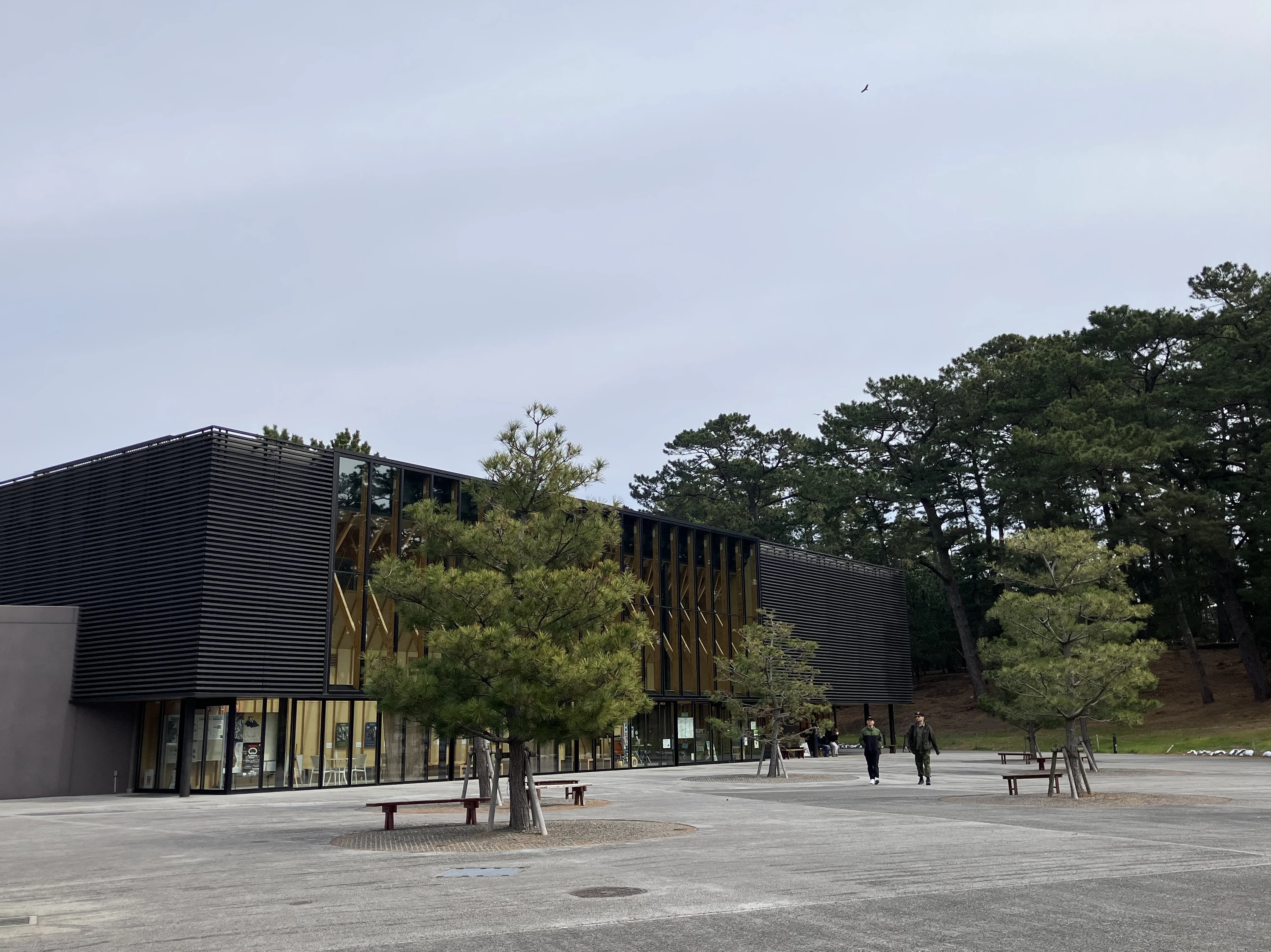 みほしるべ（静岡市三保松原文化創造センター）