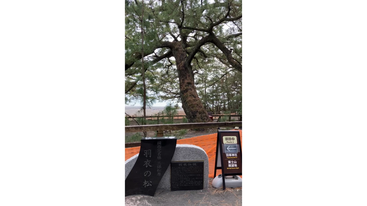 羽衣の松（三保松原内）