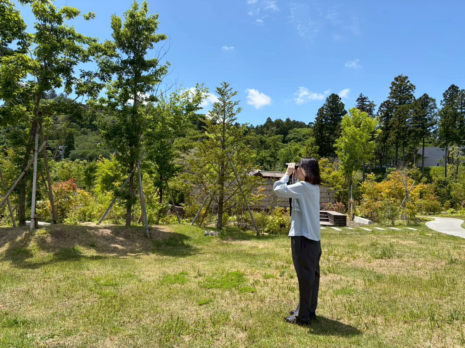 野鳥観察