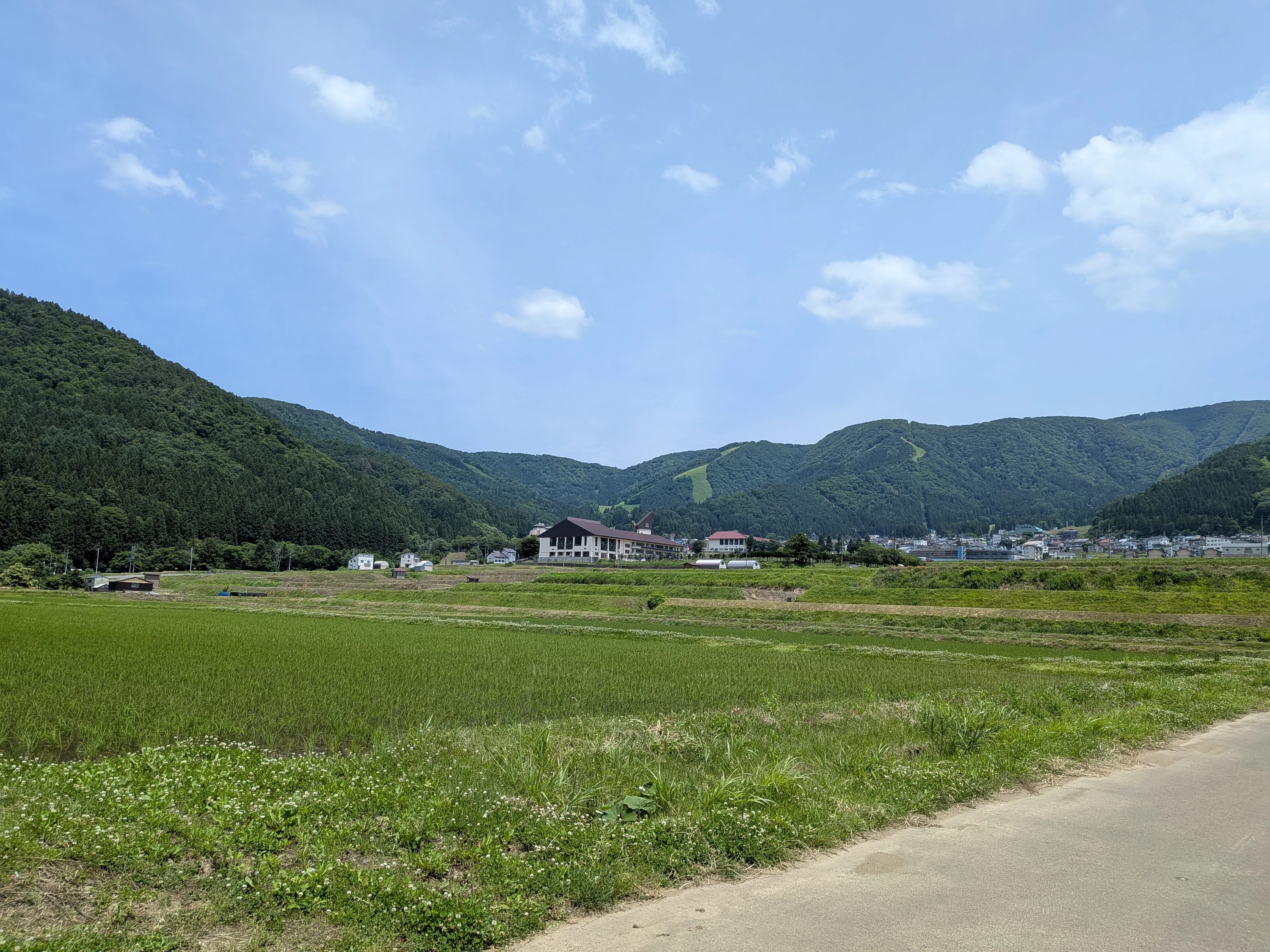 グリーンシーズンの野沢もいいですよね！