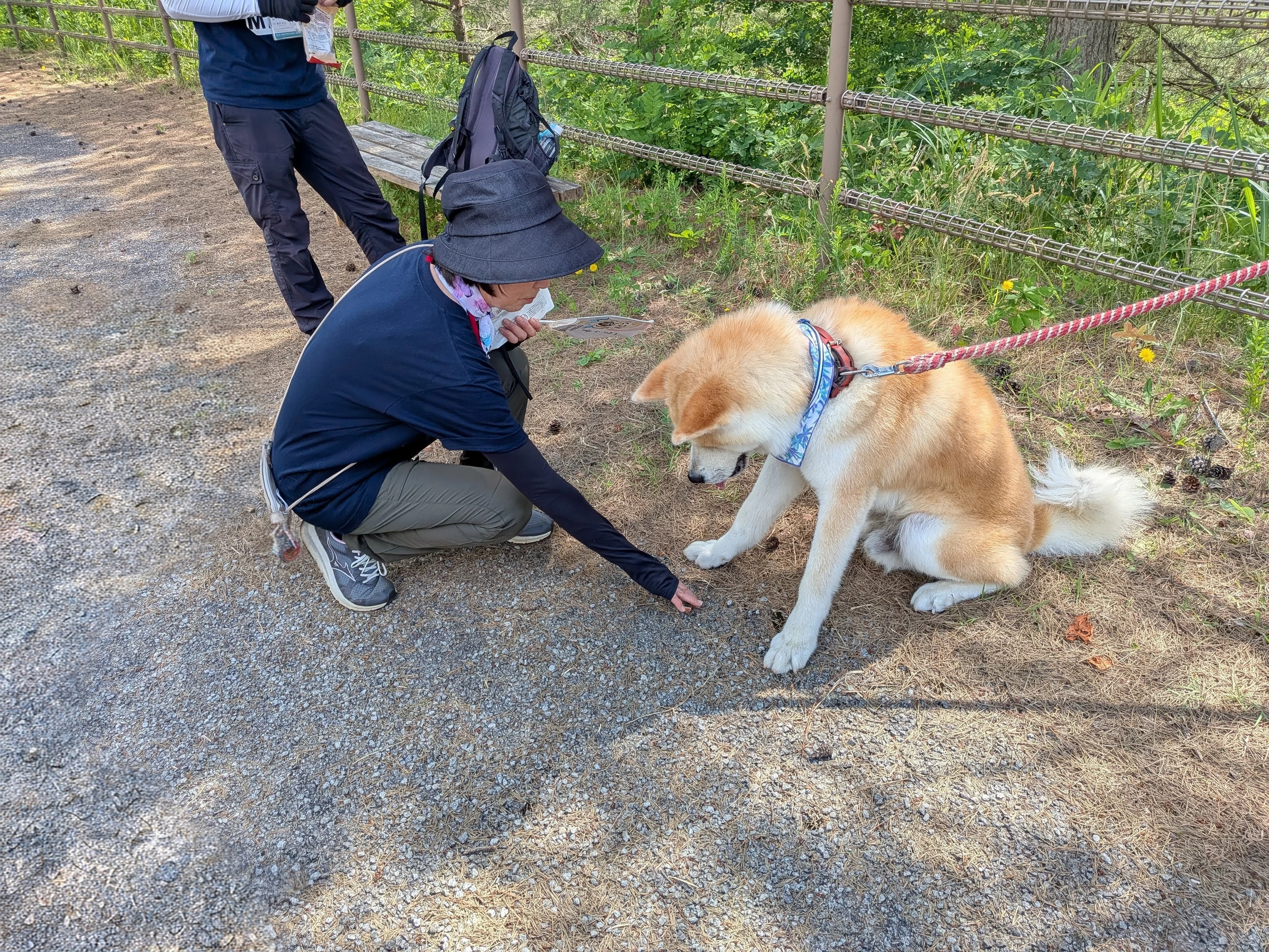 途中もぐもぐタイムを交えながら