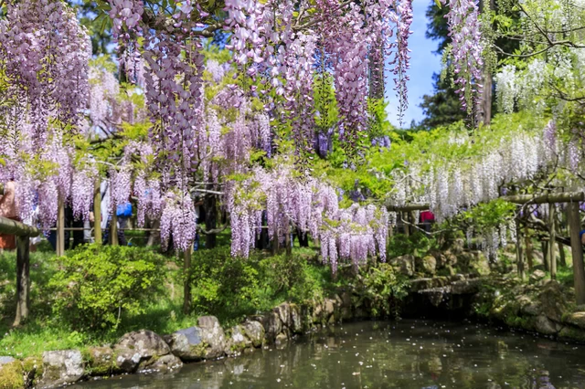 萬葉植物園