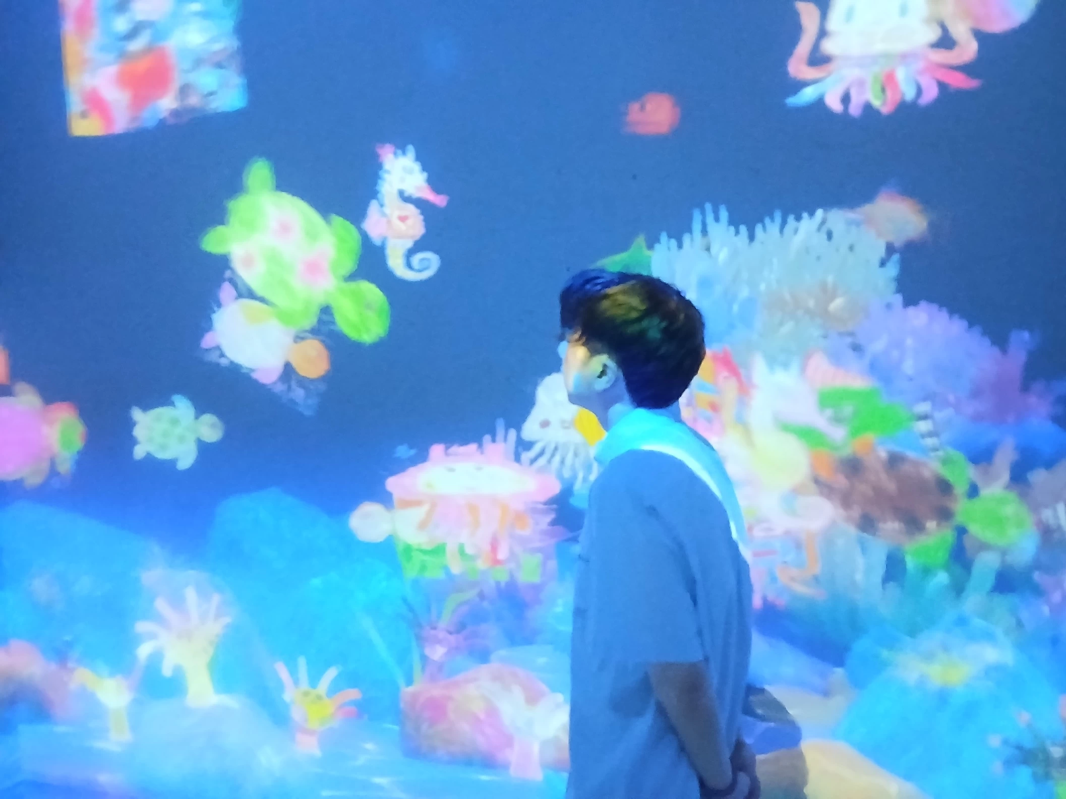 チームラボボーダレス麻布台ヒルズの作品で、手描きの海の生き物が泳ぐ空間を眺める来館者