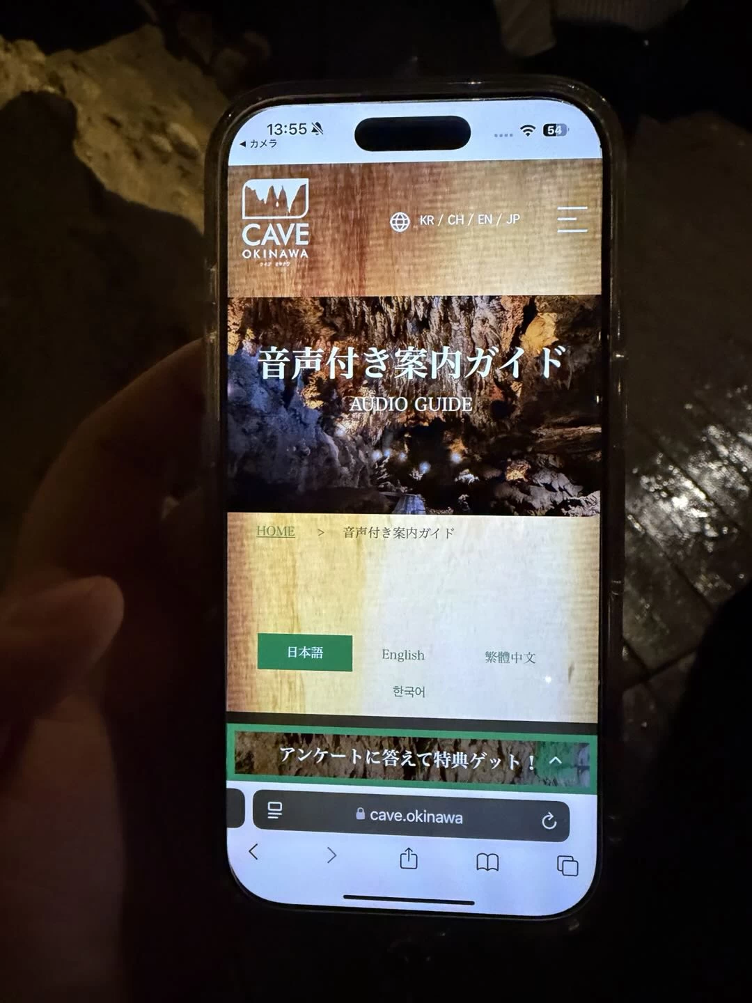 音声ガイド