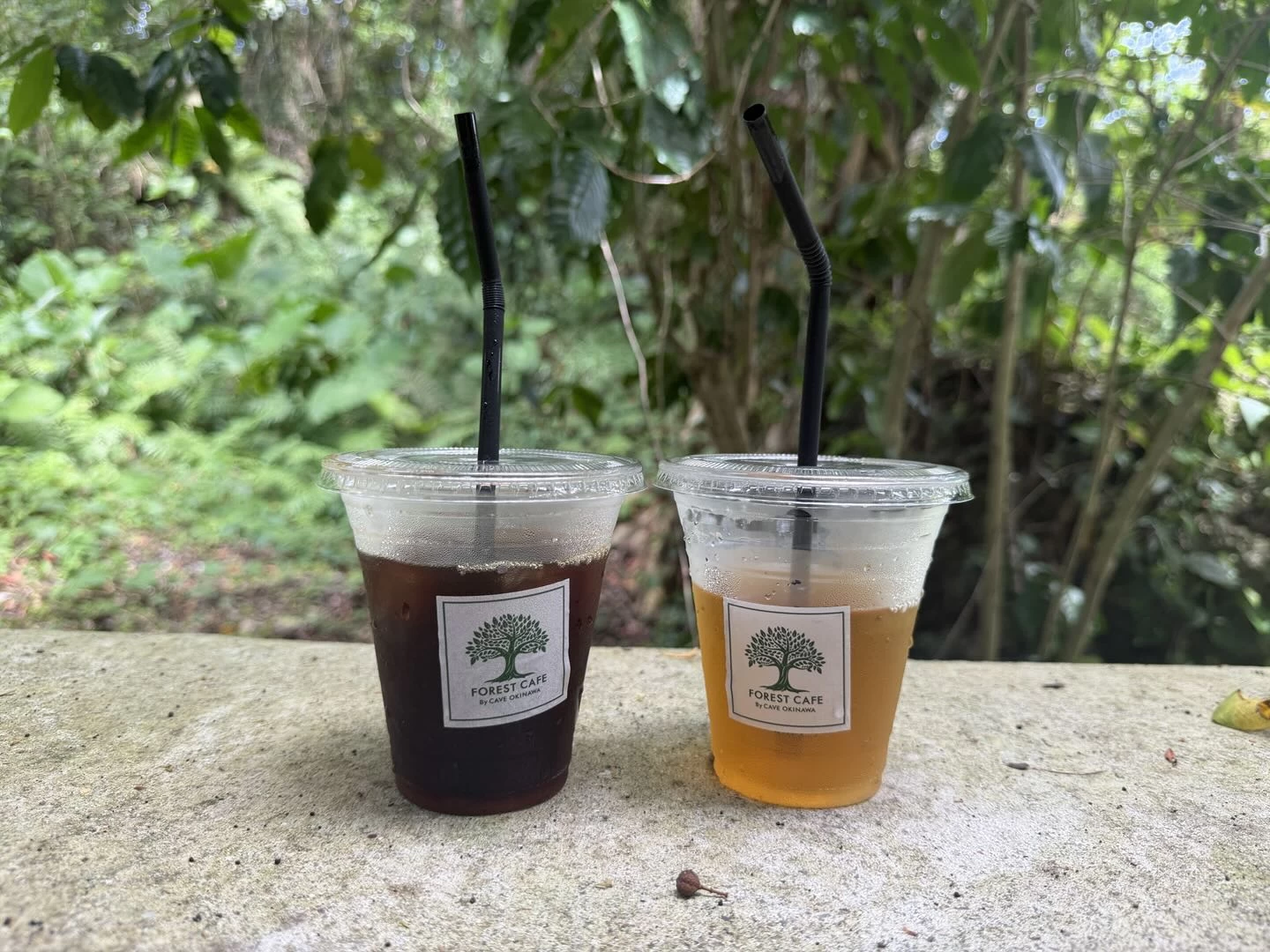 FOREST CAFE