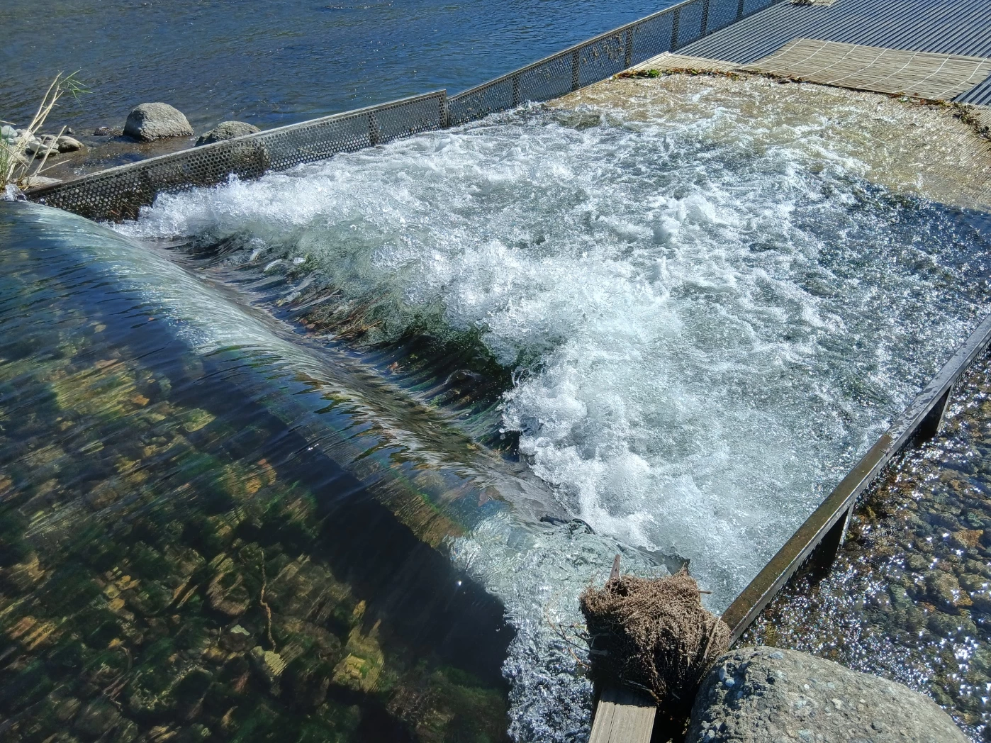 川の水が流れ落ちる堰の様子