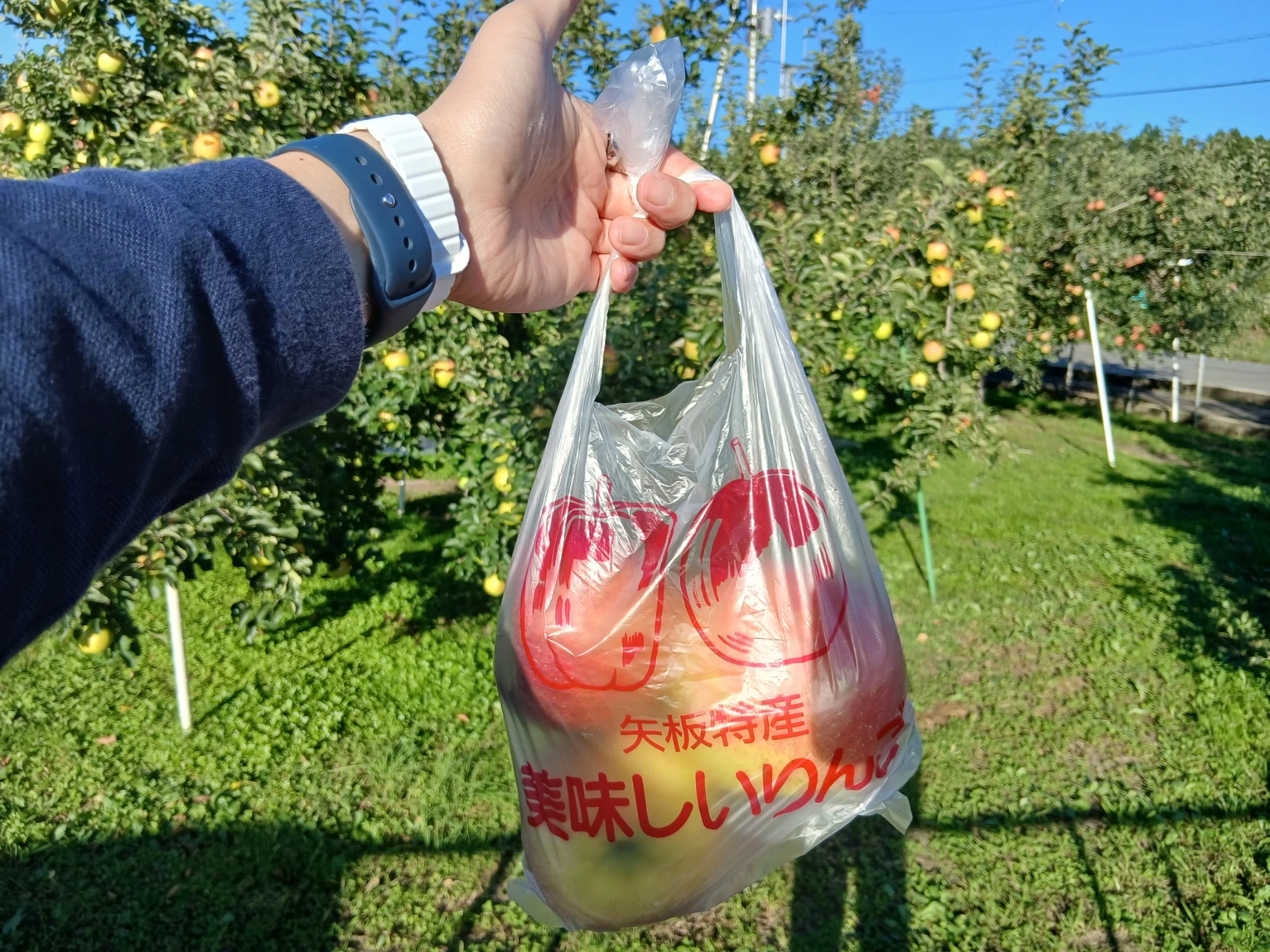 「矢板特産 美味しいりんご」の袋に入ったりんご