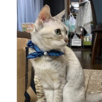 みかん（綴りびと）