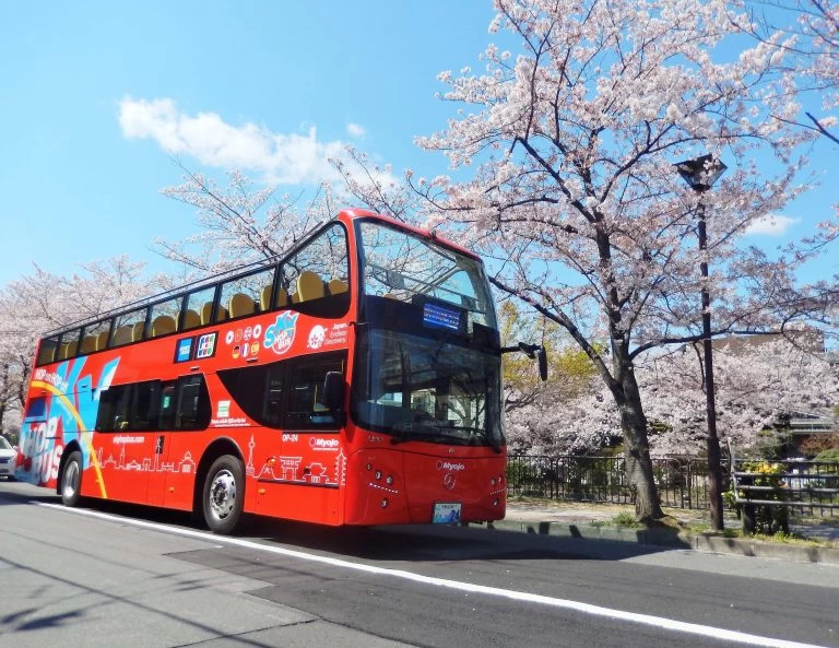桜満喫ドライブ（W3コース）