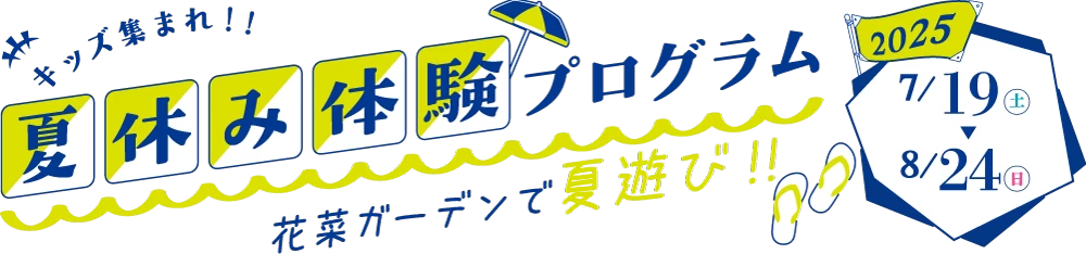 夏休み体験プログラム2025
