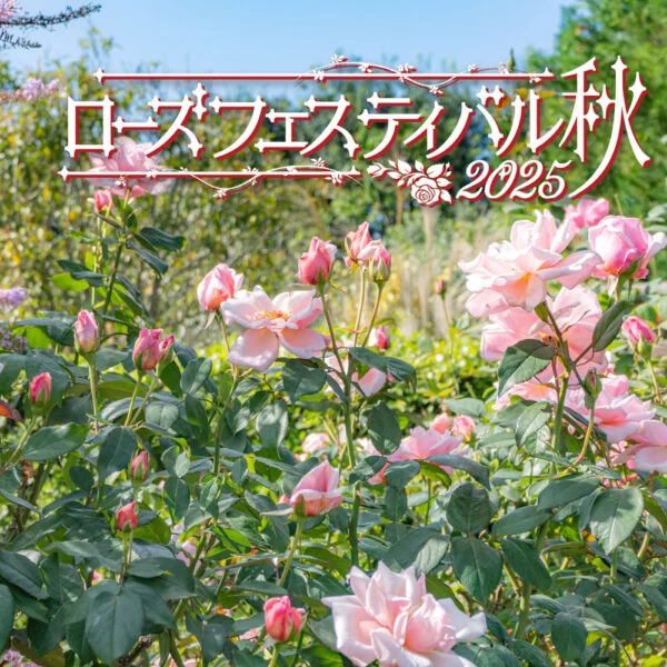 ローズフェスティバル2025～秋～