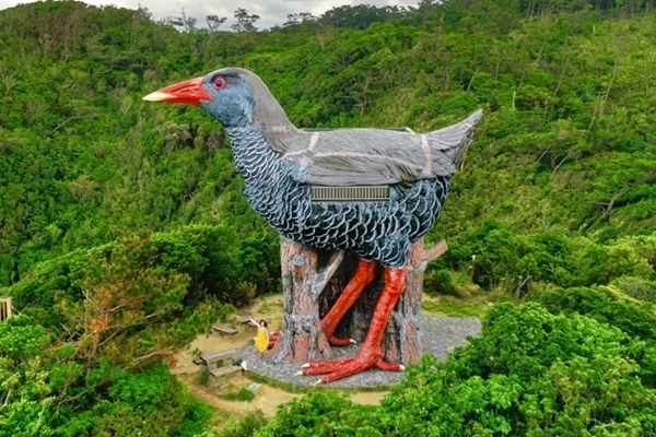 怪獣チックな巨鳥に、リアルサイズの圧倒マンタ。沖縄で見つけたへんてこ展望台！