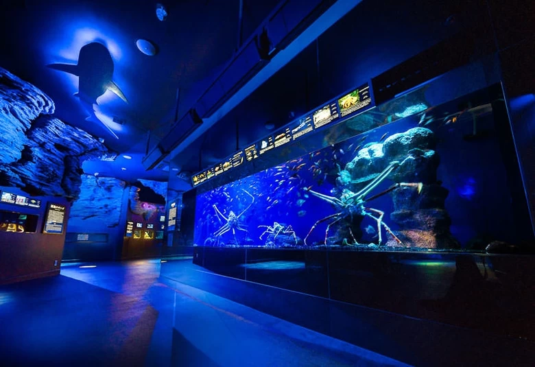 世界でココだけの展示が見られる！「沼津港深海水族館 シーラカンス・ミュージアム」へ行こう