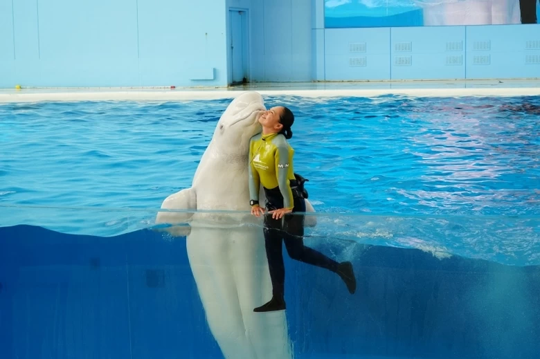 水族館プロデューサー・中村元さん推奨！感動ショー7選