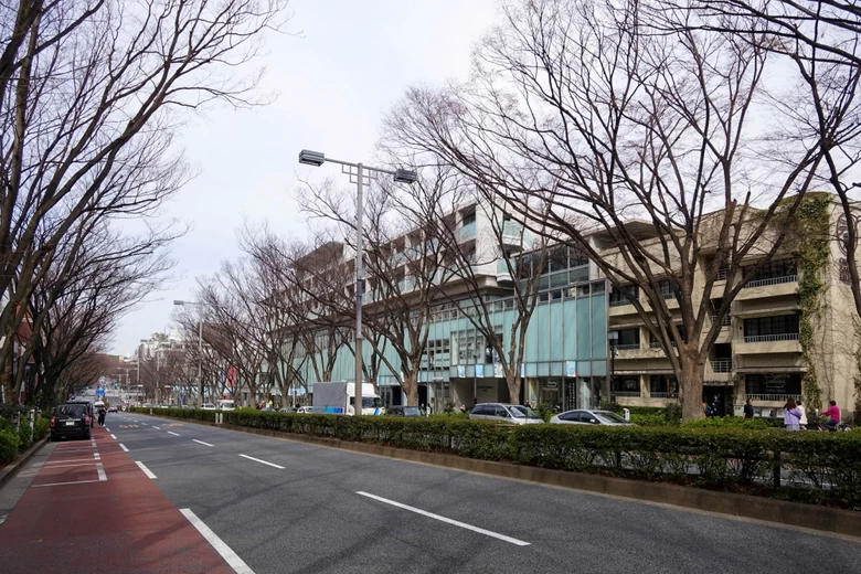 建築史家・倉方さんとひも解く東京。名建築が立ち並ぶ表参道へ