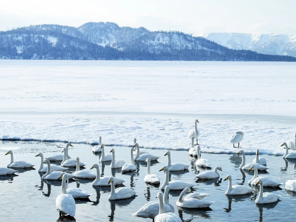 さっぽろ雪まつりだけじゃない! 極寒の冬こそ見たい北海道・幻の絶景5選