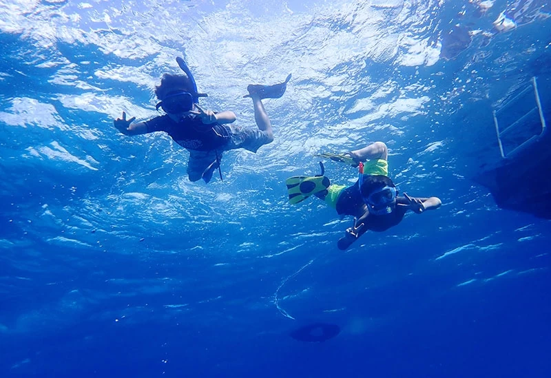 美しい沖縄の海を独り占め! 優雅なクルージングで特別なマリン体験を満喫