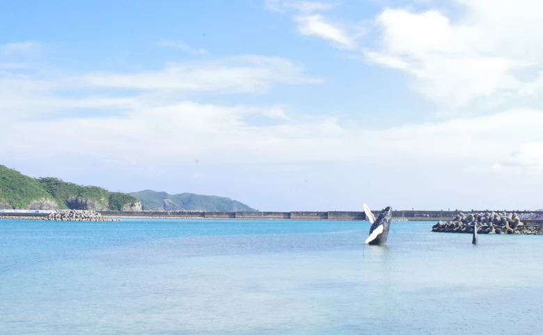 沖縄・座間味島の民宿に2泊3日したら島人になれた気がした