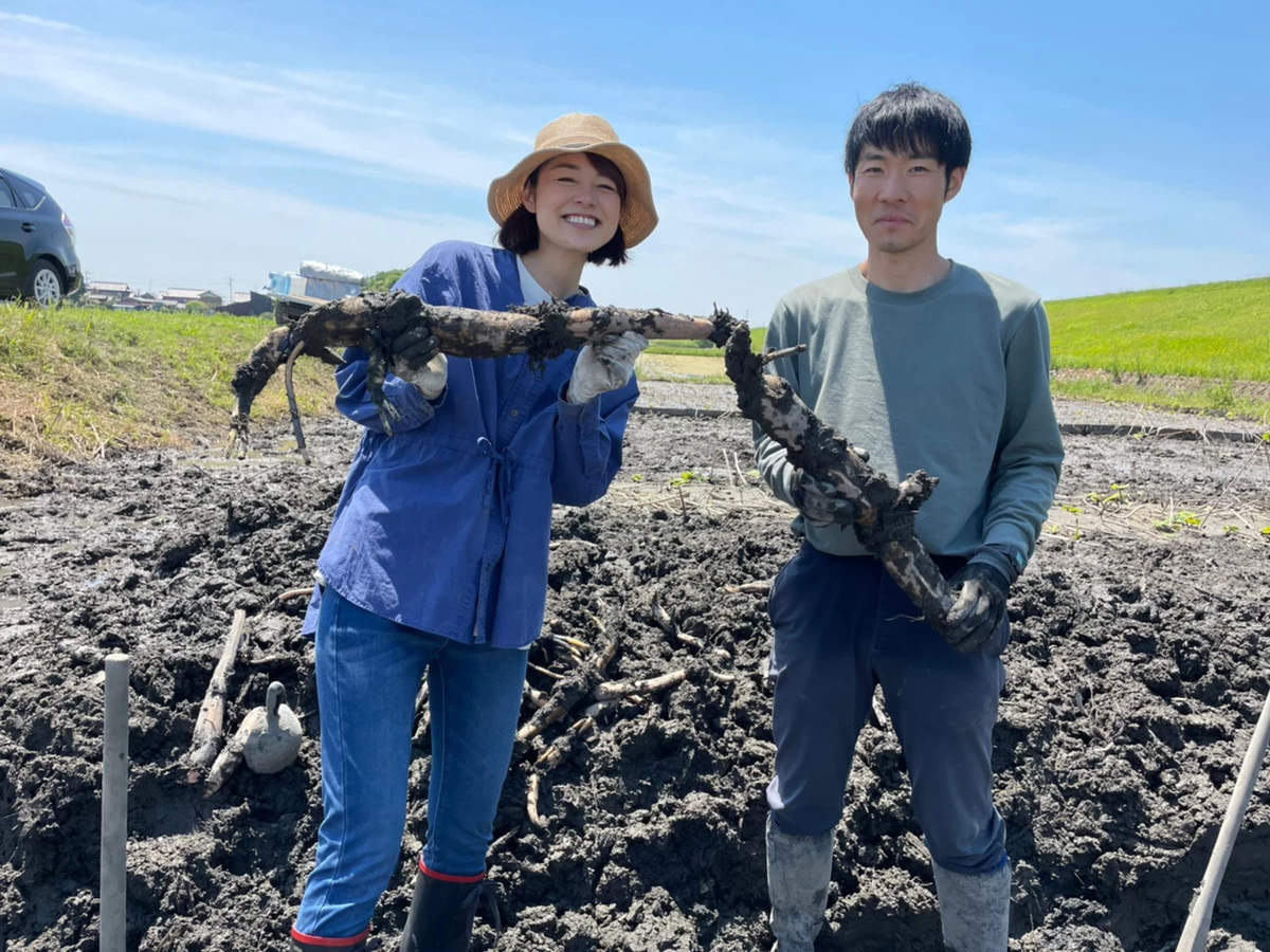 【川瀬良子の農業旅】愛知県で収穫体験！ 中野悦宏さんが育てる“鍬掘り”レンコンとは？