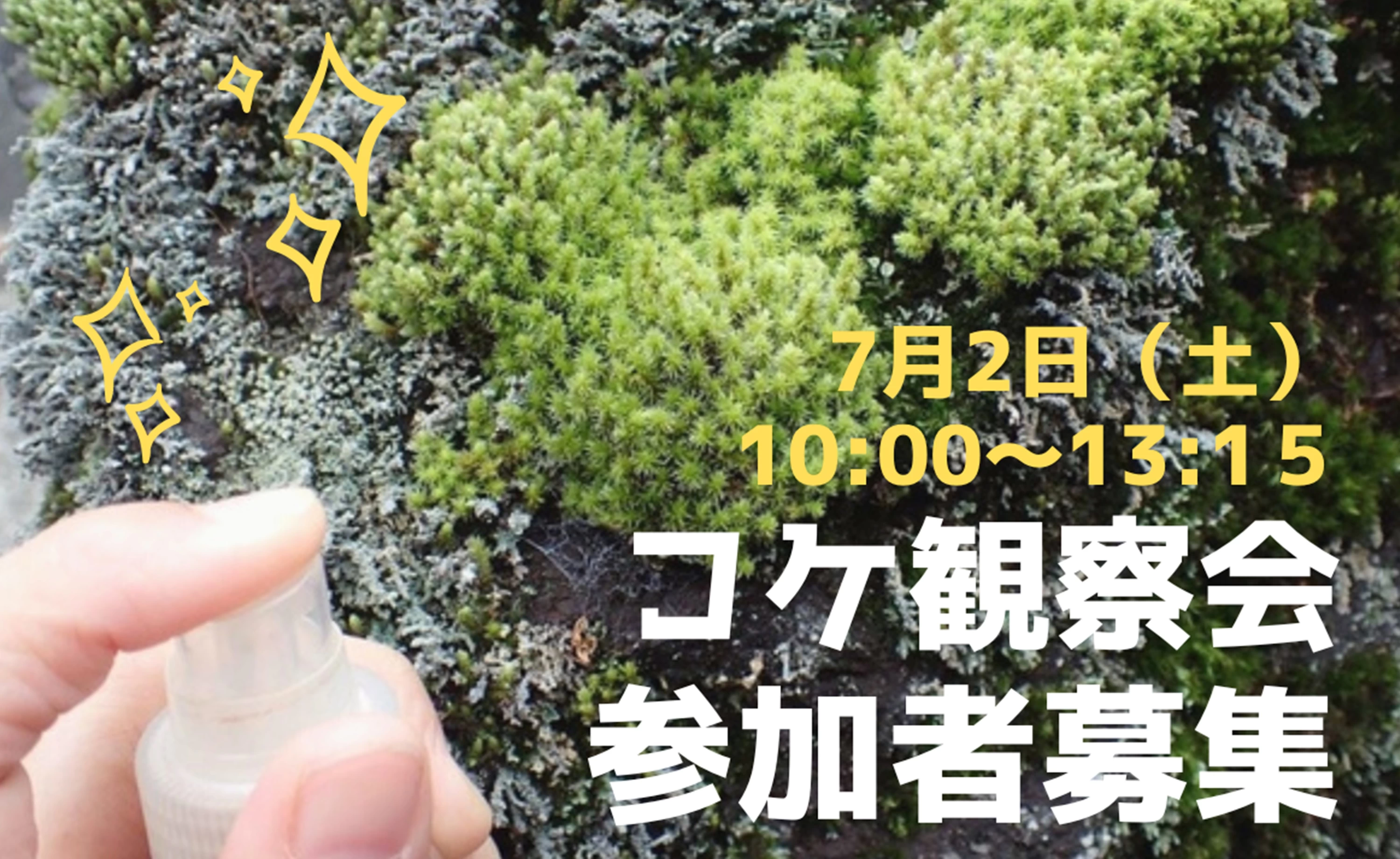 7月2日（土）は池上本門寺でコケに癒される。 コケ愛好家・藤井久子さんとめぐるコケ観察会、参加者募集！