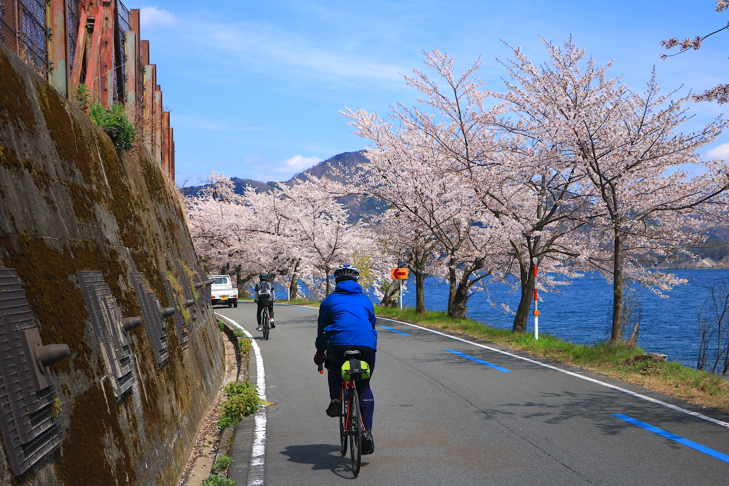 気軽に絶景を！ 春爛漫の桜花見ロングライドの魅力とおすすめスポット