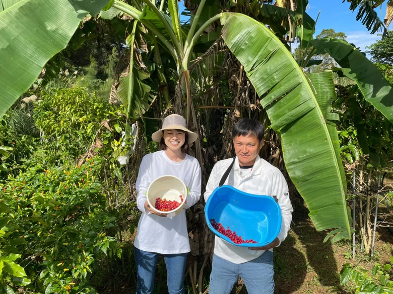【川瀬良子の農業旅】希少な国産コーヒーを求めて沖縄の「やまいち園」へ
