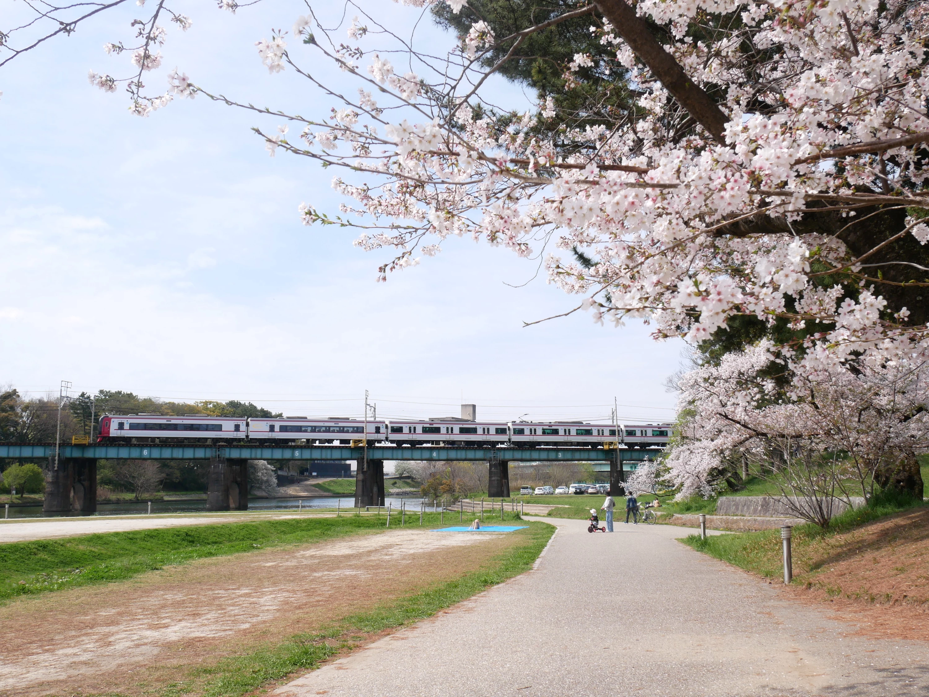 名鉄電車の「まる乗り1DAYフリーきっぷ」で楽しむ桜はしご旅